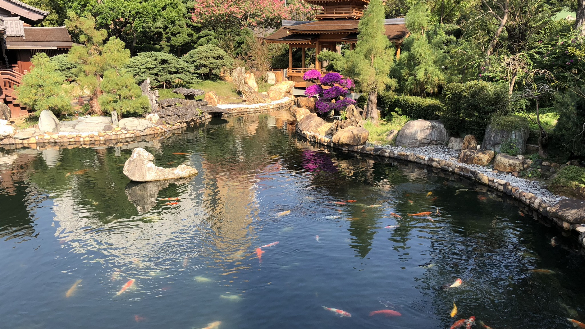 Обои Гонконг, отражение, водоток, сад, водные элементы в разрешении 1920x1080