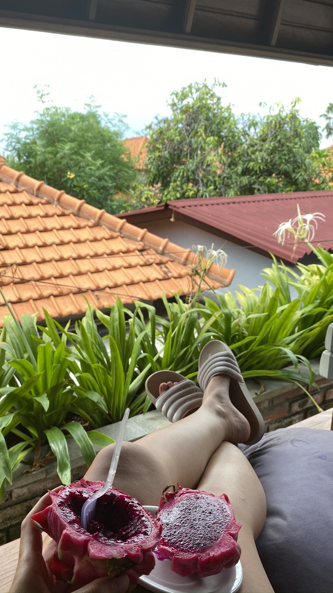 Обои Флора, крыша, туфля, ноги, дневное освещение в разрешении 1080x1920