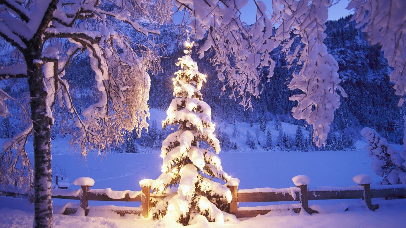 Обои Рождественский день, елка, снег, зима, дерево в разрешении 1366x768