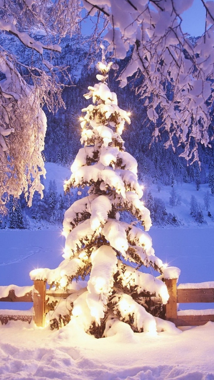 Обои Рождественский день, елка, снег, зима, дерево в разрешении 720x1280