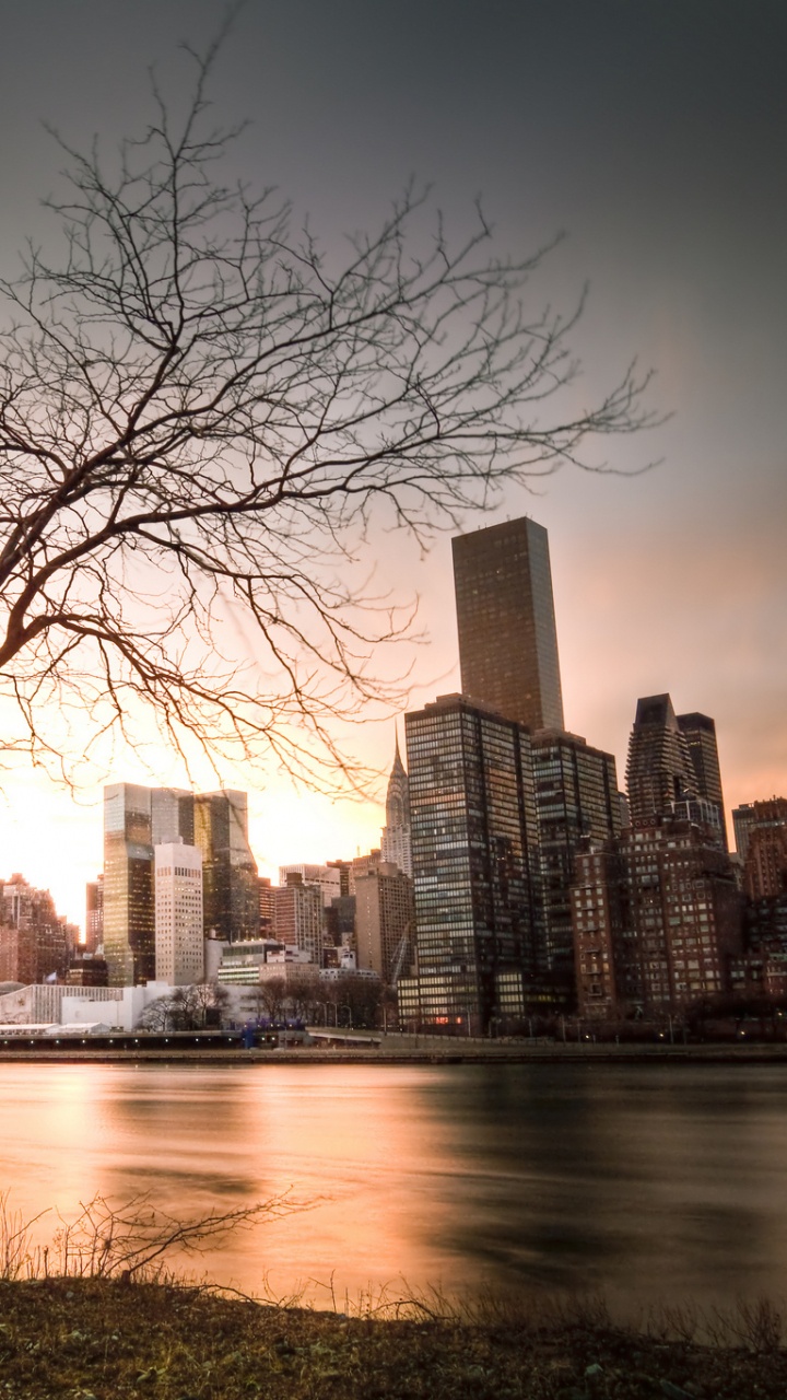 Обои отражение, небоскреб, город, городской пейзаж, линия горизонта в разрешении 720x1280