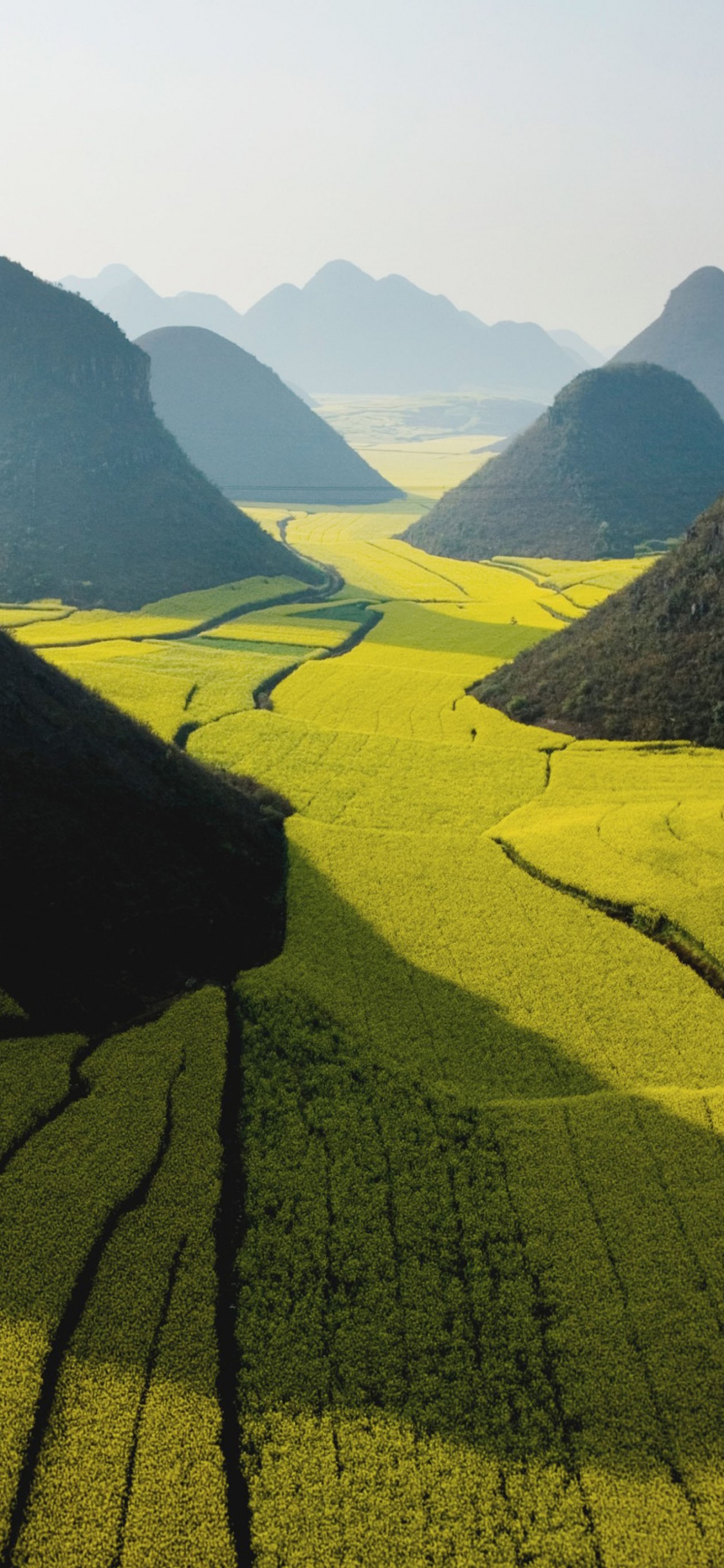 Обои Округа Луопинсянь, нагорье, холм, Шоколадные Холмы, небо в разрешении 1125x2436