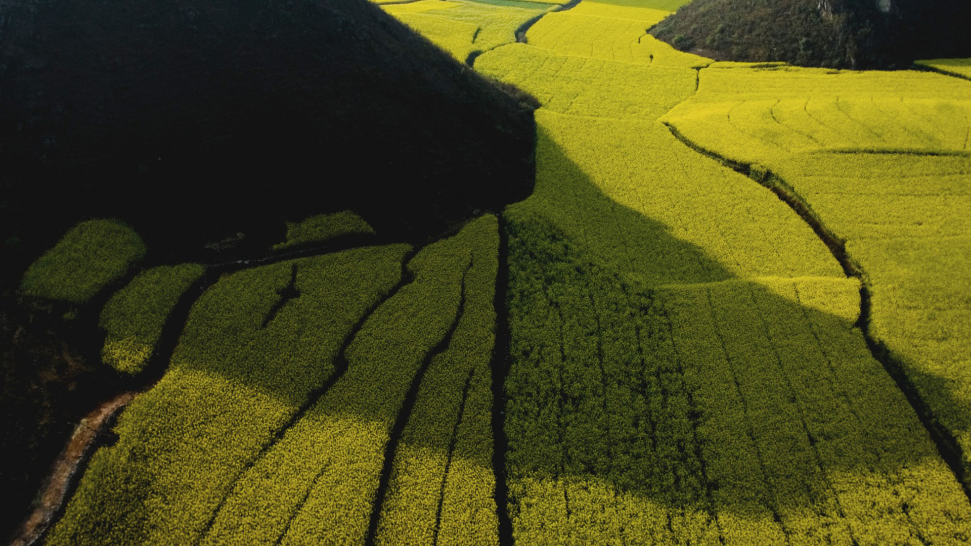 Обои Округа Луопинсянь, нагорье, холм, Шоколадные Холмы, небо в разрешении 1920x1080