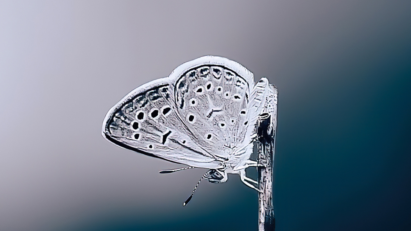 Обои вода, жидкий, жидкость, влага, водопроводу в разрешении 1366x768