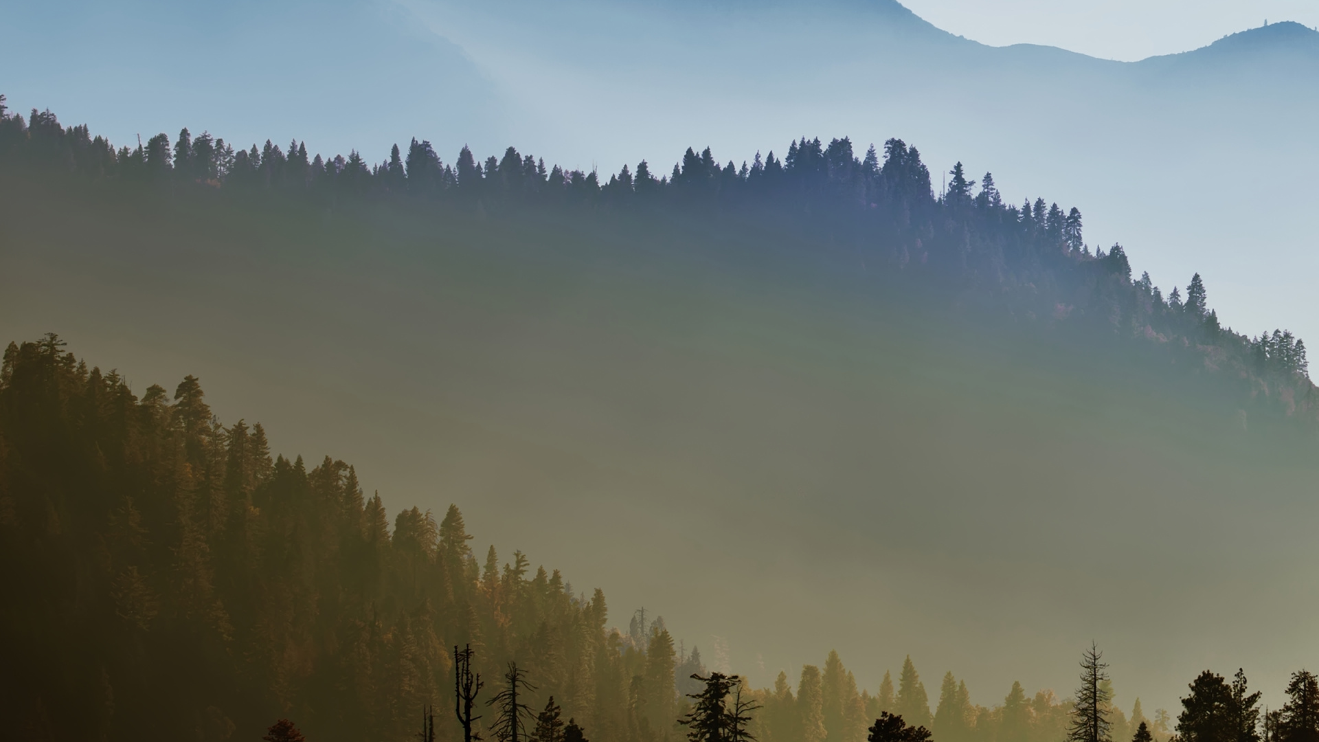 Обои гора, горный хребет, атмосфера, дерево, природа в разрешении 1920x1080