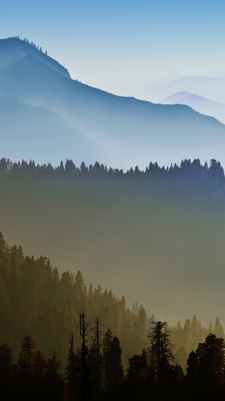 Обои гора, горный хребет, атмосфера, дерево, природа в разрешении 720x1280