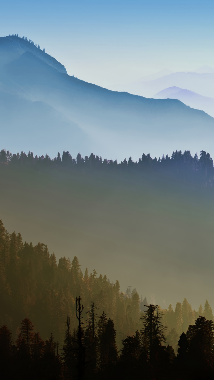 Обои гора, горный хребет, атмосфера, дерево, природа в разрешении 750x1334