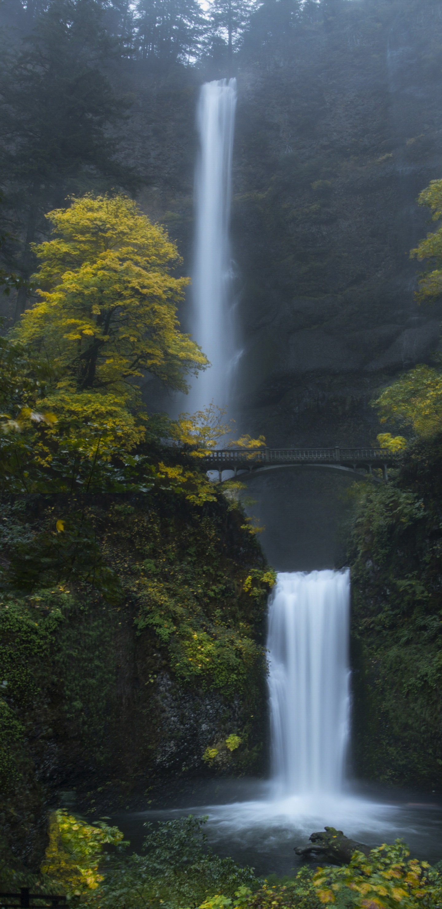 Обои водопад, природный ландшафт, гидроресурсы, водоем, природа в разрешении 1440x2960