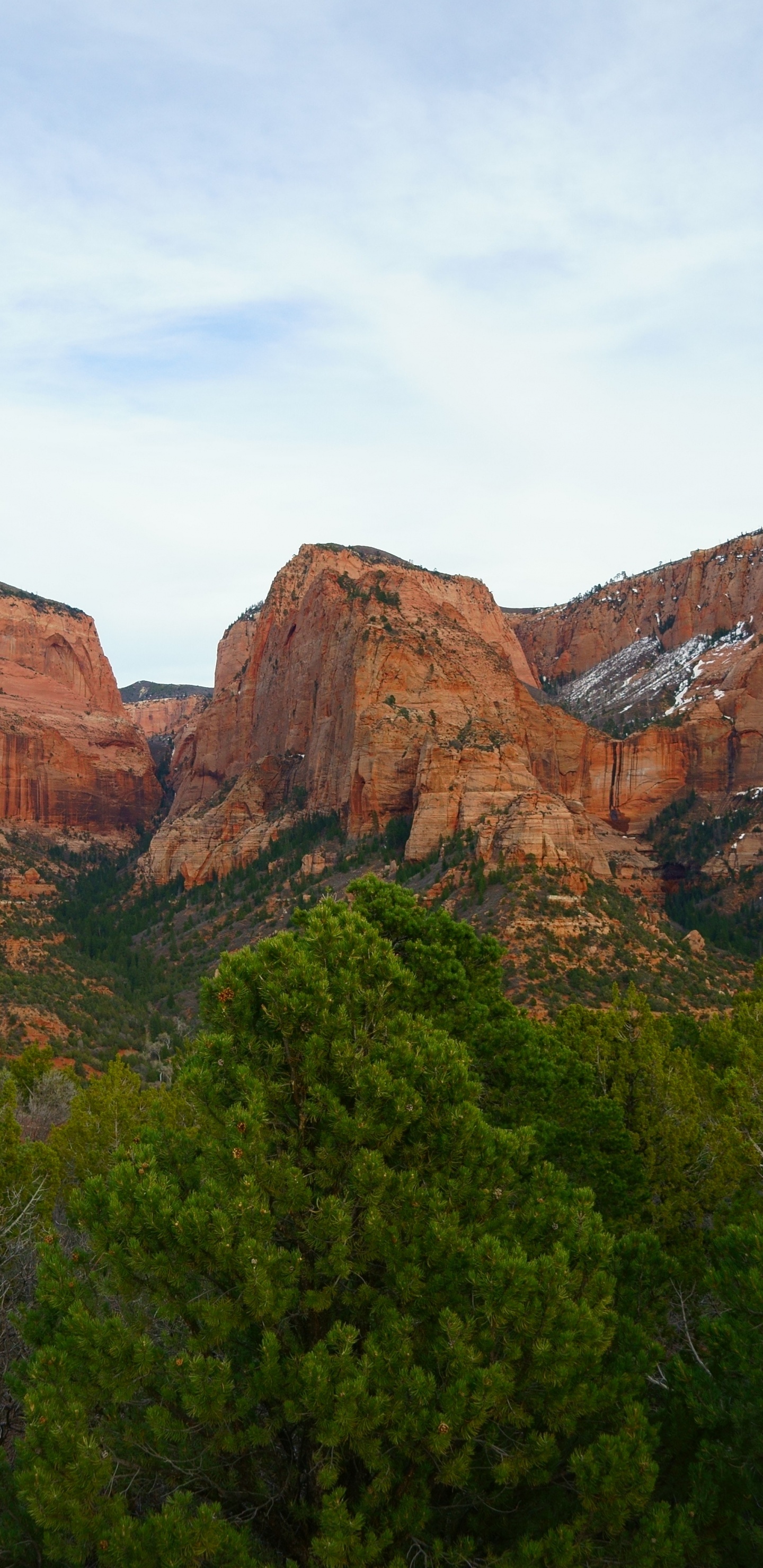 Обои национальный парк Зайон каньон колоб, национальный парк Гранд каньон, национальный парк, формирование, рок в разрешении 1440x2960