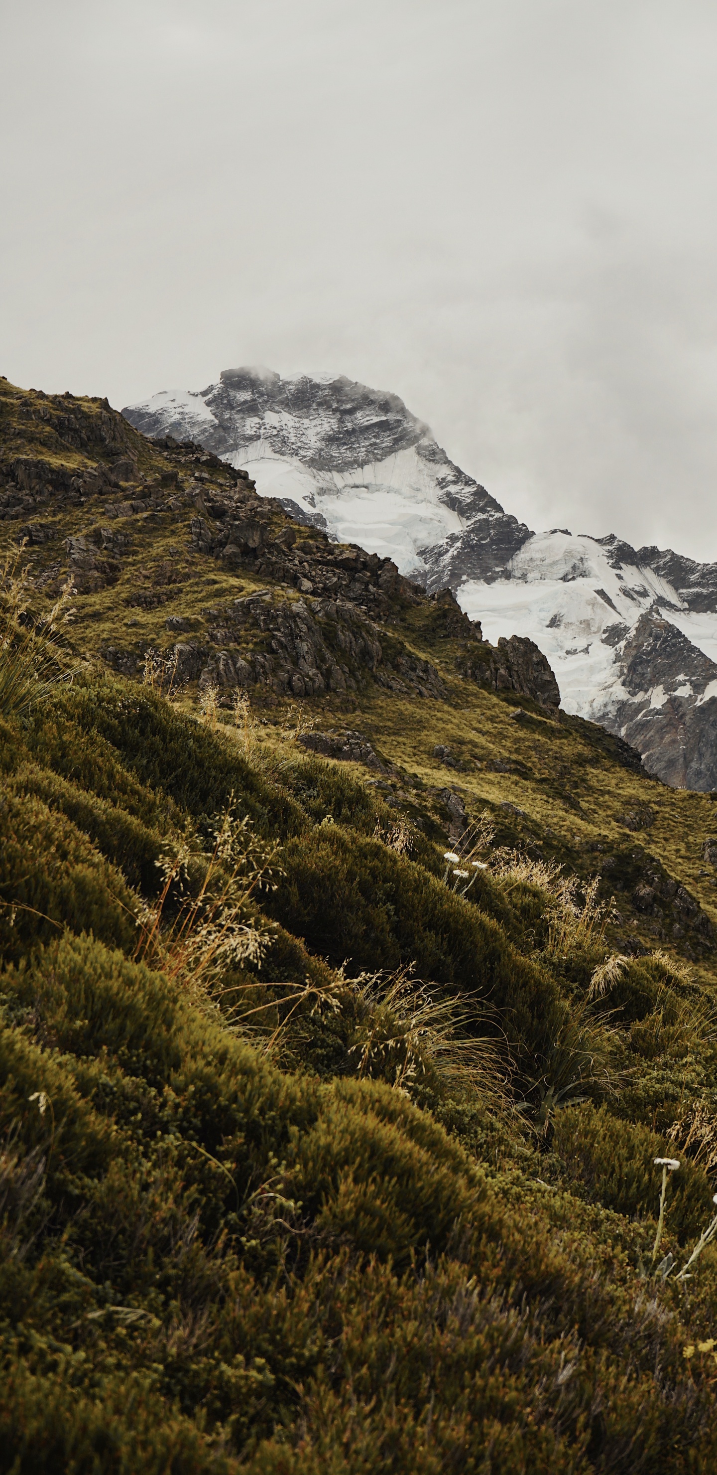 Обои хребет, пустыня, аораки Маунт Кук, национальный парк, Упал в разрешении 1440x2960
