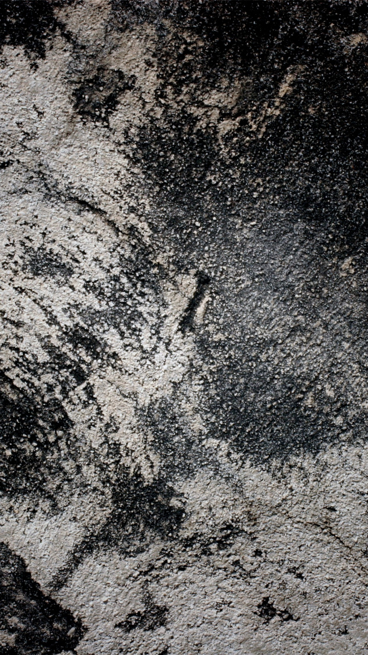 Обои гранж, текстура, рок, вода, дерево в разрешении 750x1334