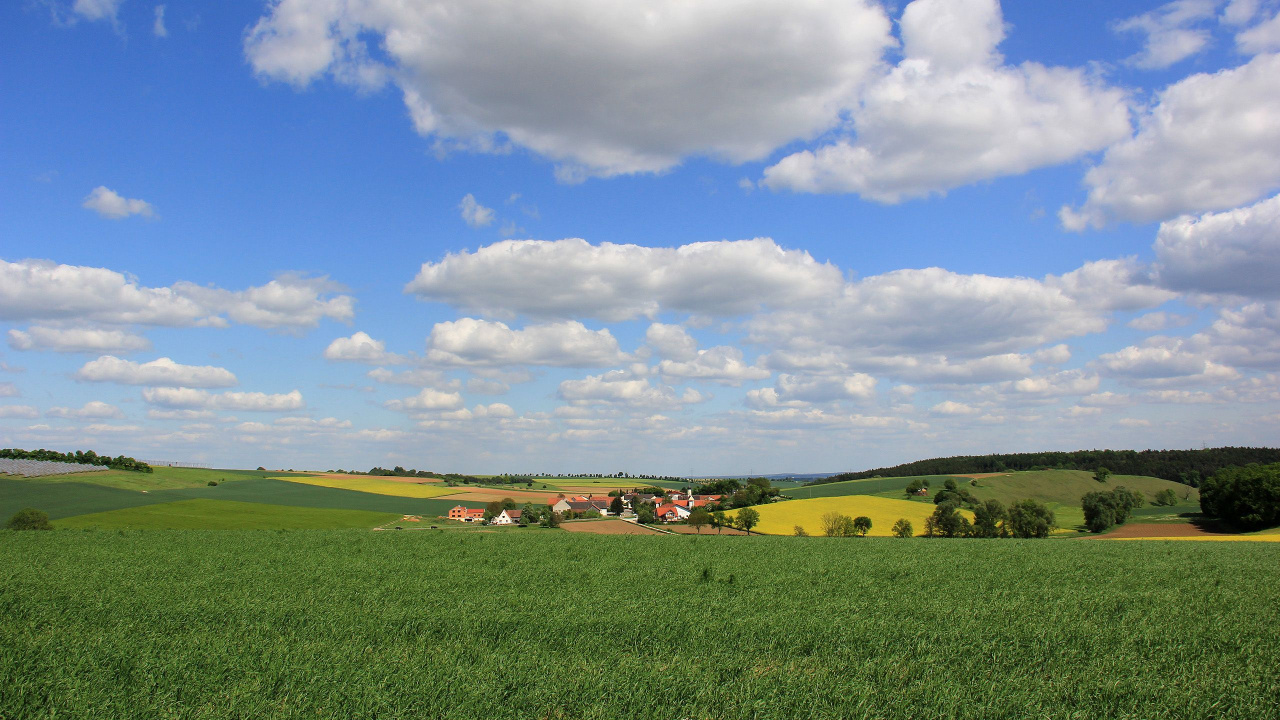 Обои поле, пейзажная живопись, природа, луг, сенокосное угодье в разрешении 1280x720