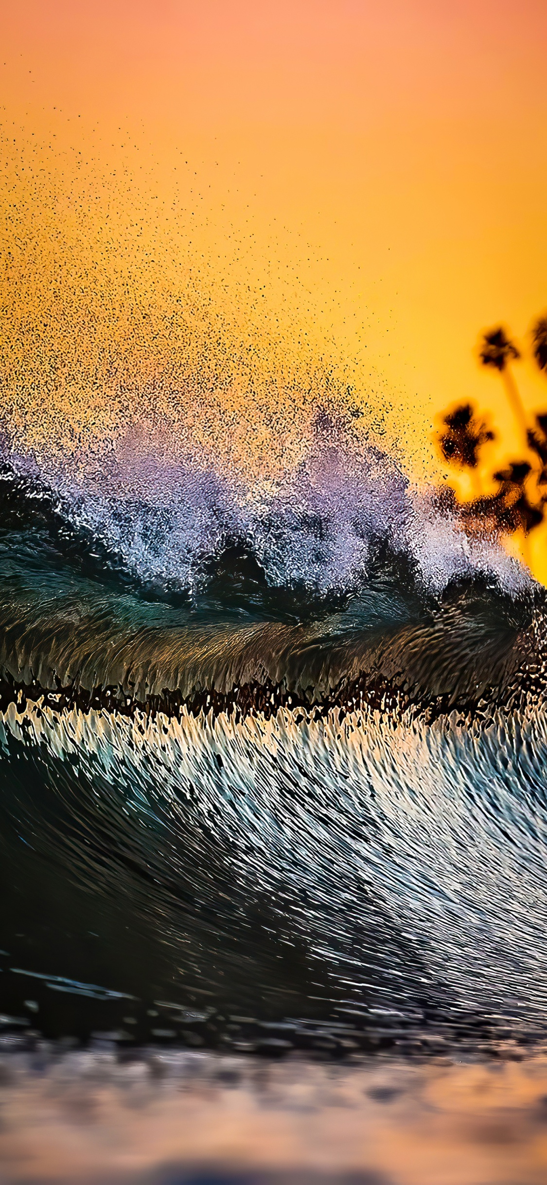 Обои вода, гидроресурсы, жидкий, облако, растение в разрешении 1125x2436