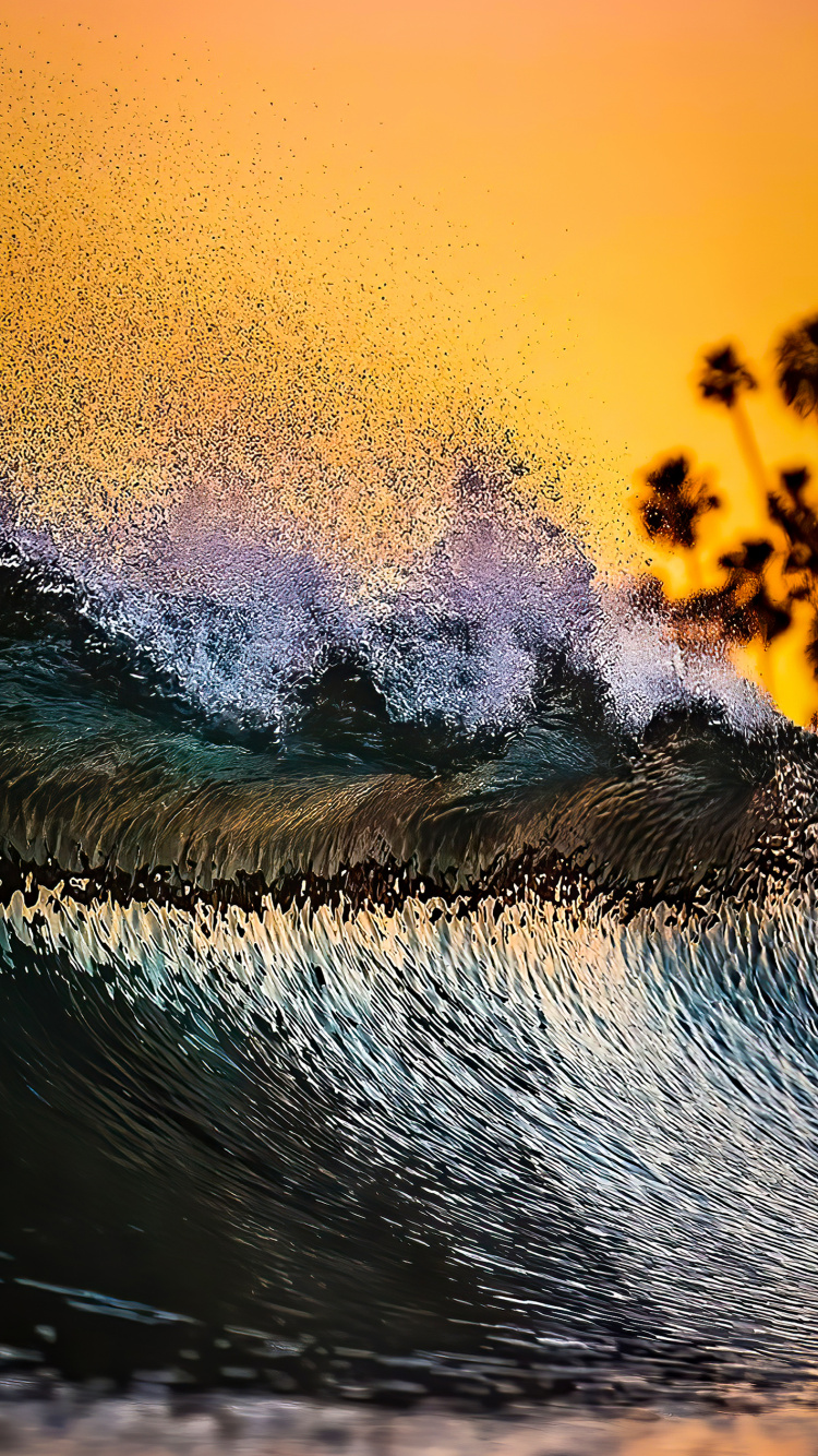 Обои вода, гидроресурсы, жидкий, облако, растение в разрешении 750x1334