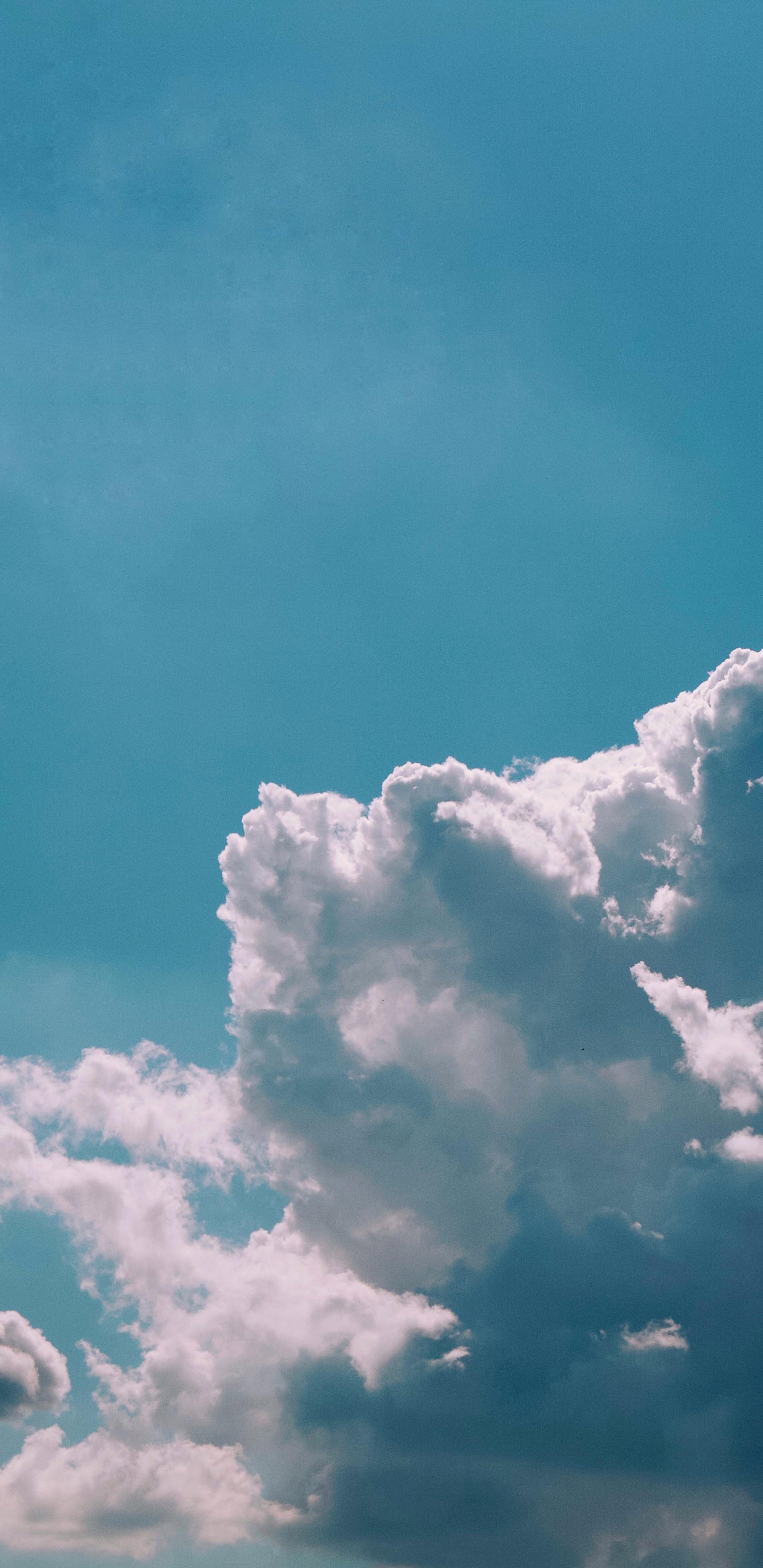 Обои облако, атмосфера, синий, лазурный, кучевое облако в разрешении 1440x2960