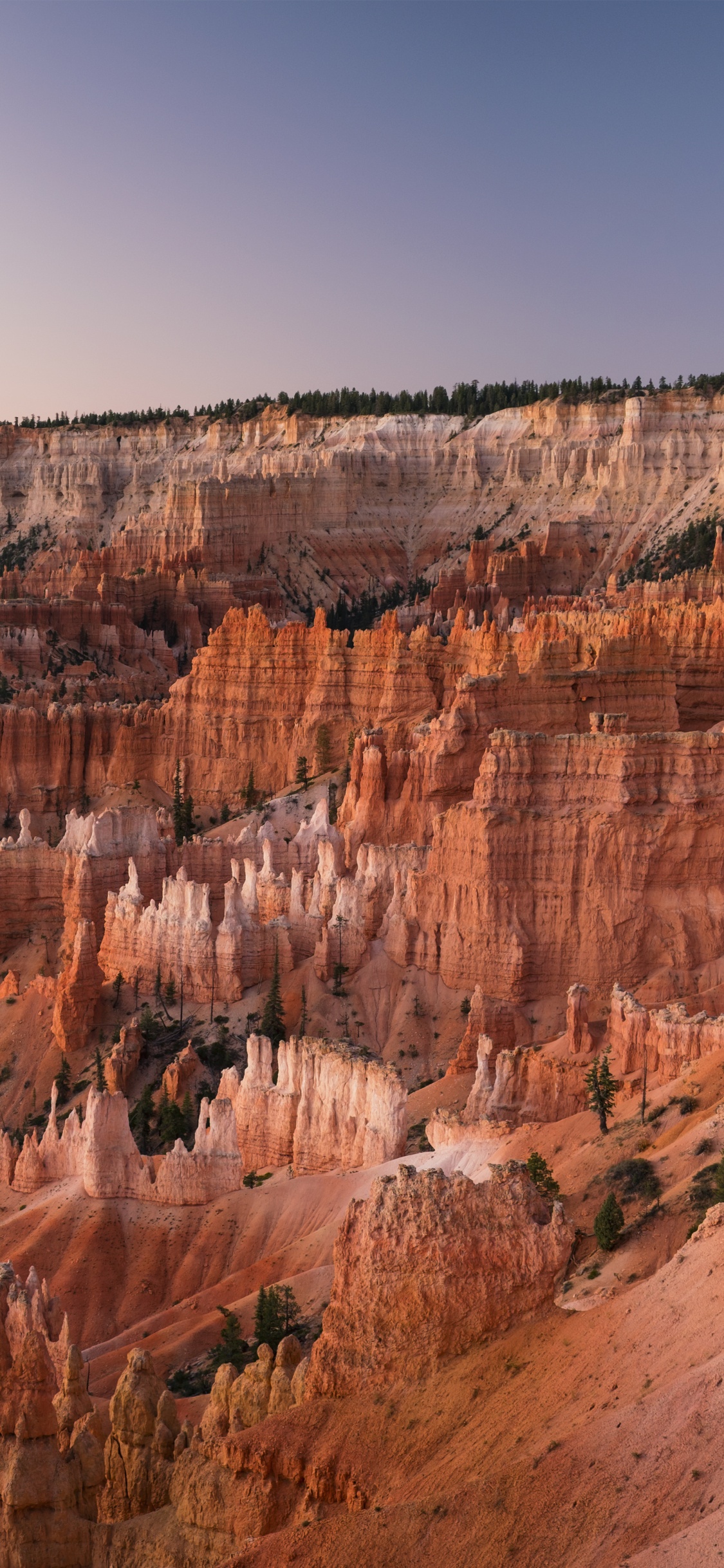 Обои национальный парк Гранд каньон, национальный парк арки, Точка Восхода Солнца, большой каньон, национальный парк каньонлендс в разрешении 1125x2436