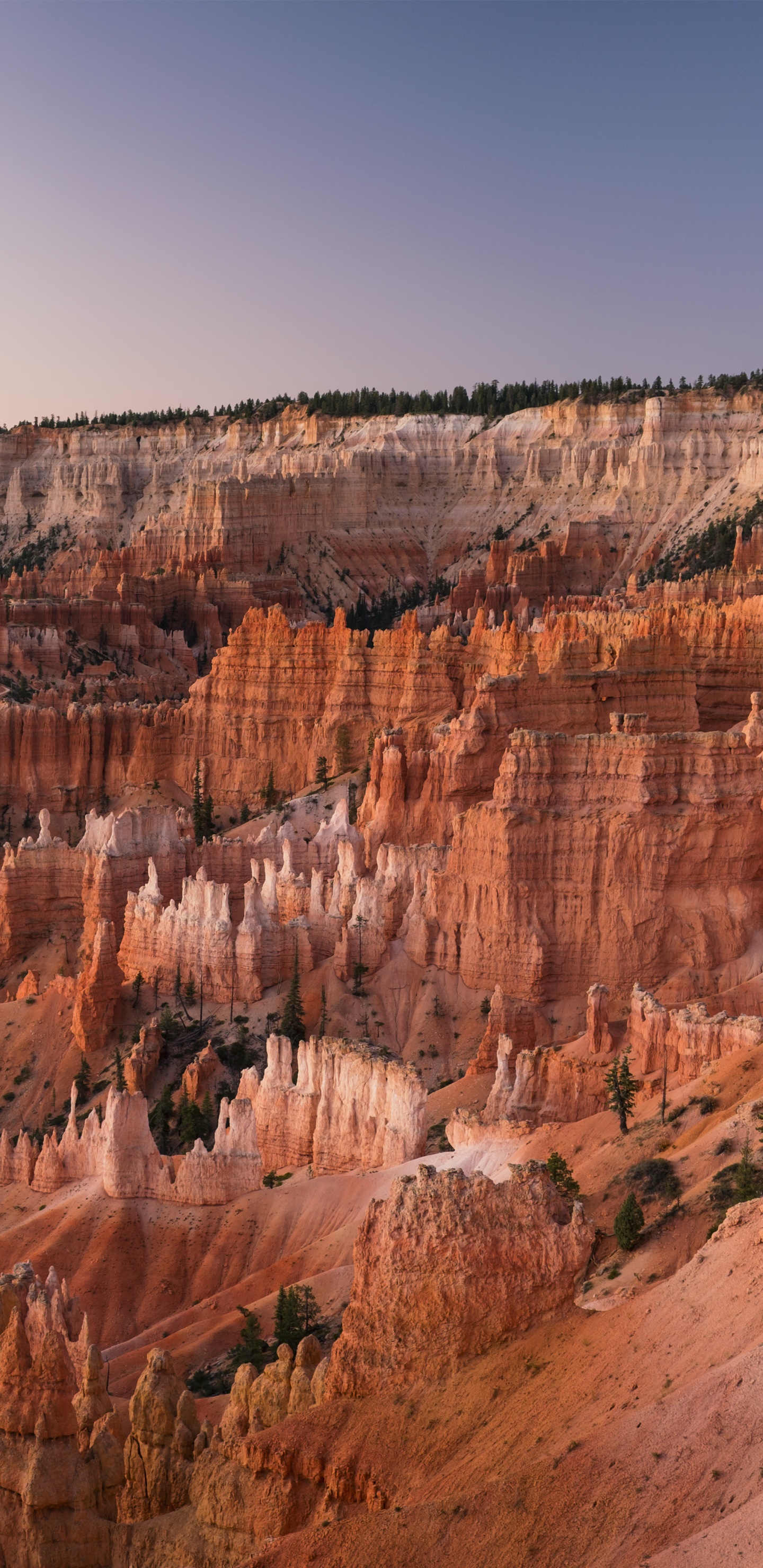 Обои национальный парк Гранд каньон, национальный парк арки, Точка Восхода Солнца, большой каньон, национальный парк каньонлендс в разрешении 1440x2960