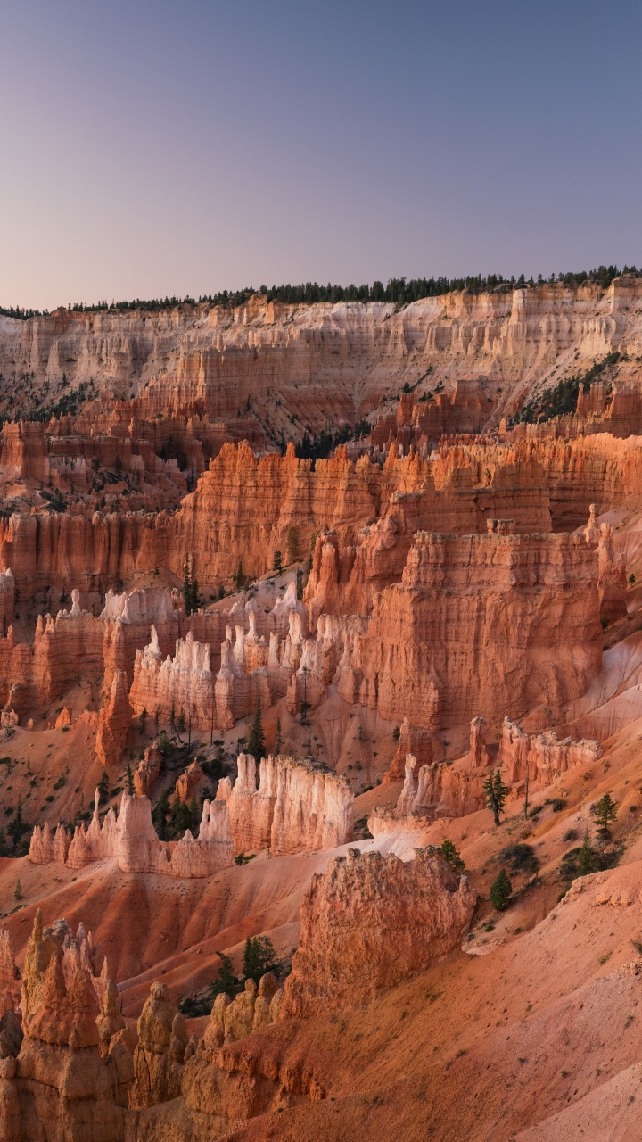 Обои национальный парк Гранд каньон, национальный парк арки, Точка Восхода Солнца, большой каньон, национальный парк каньонлендс в разрешении 720x1280