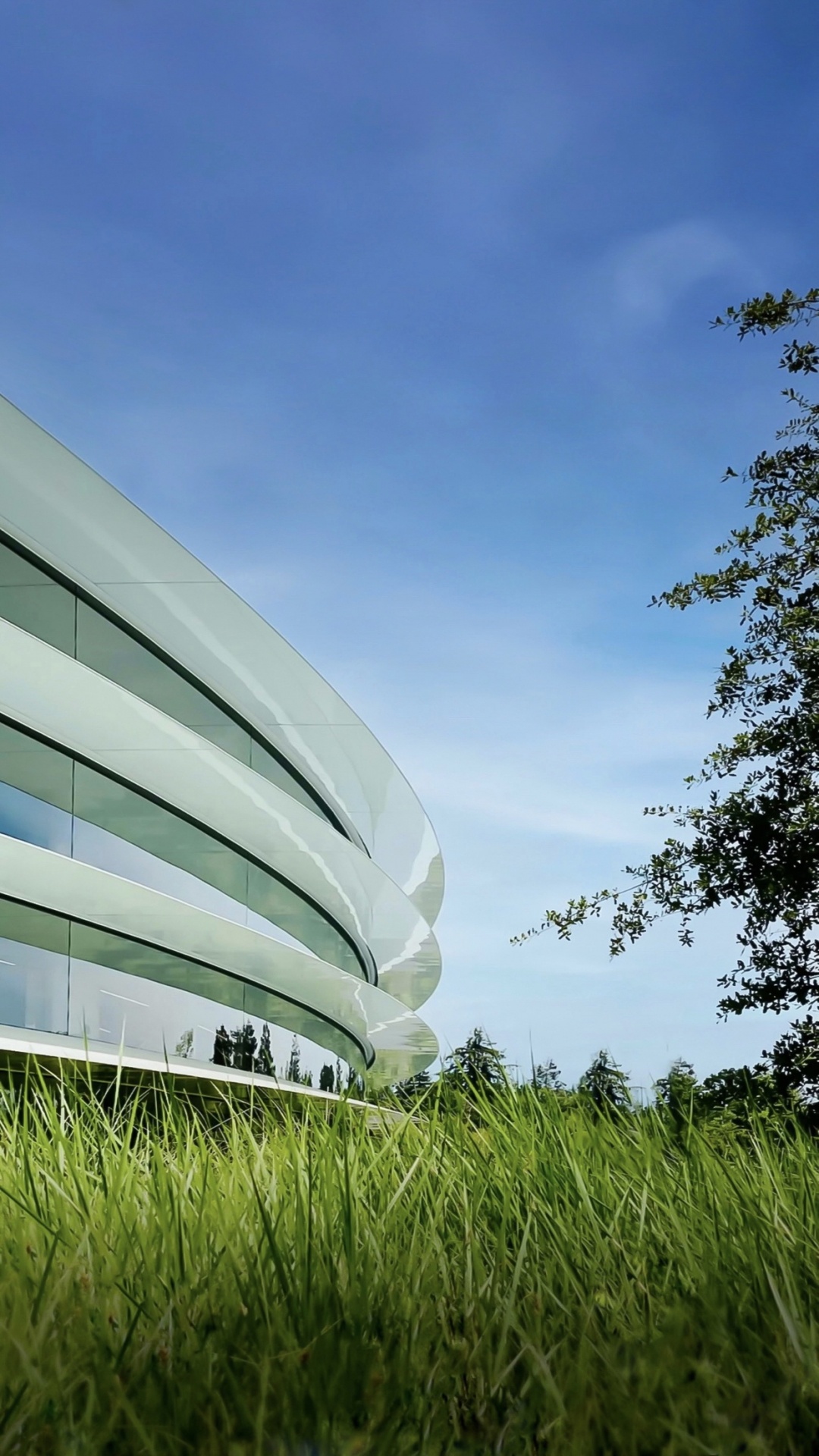 Обои Яблочный Парк, всемирная конференция разработчиков, яблоко, iOS 16, ios в разрешении 1080x1920