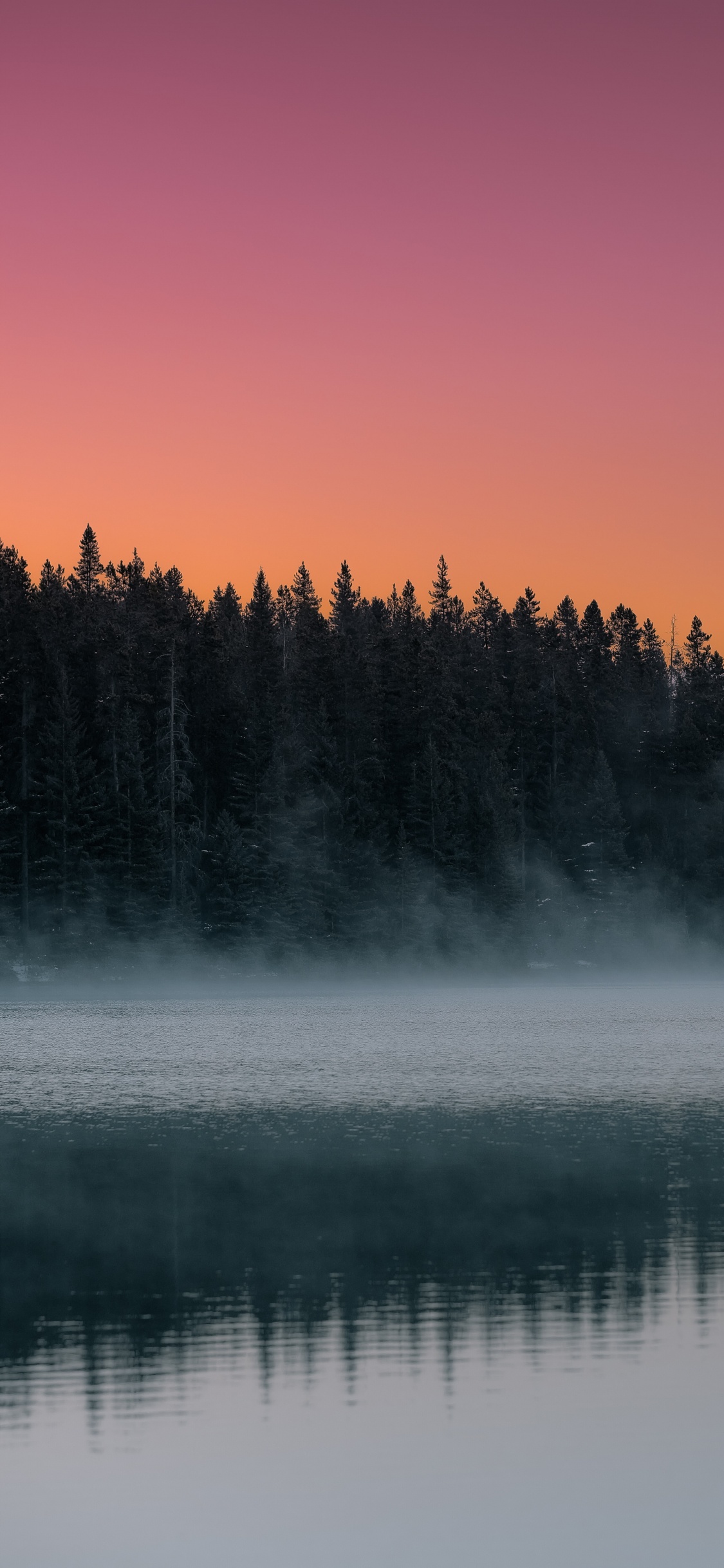 Обои утро, небо, дымка, туман, природа в разрешении 1125x2436