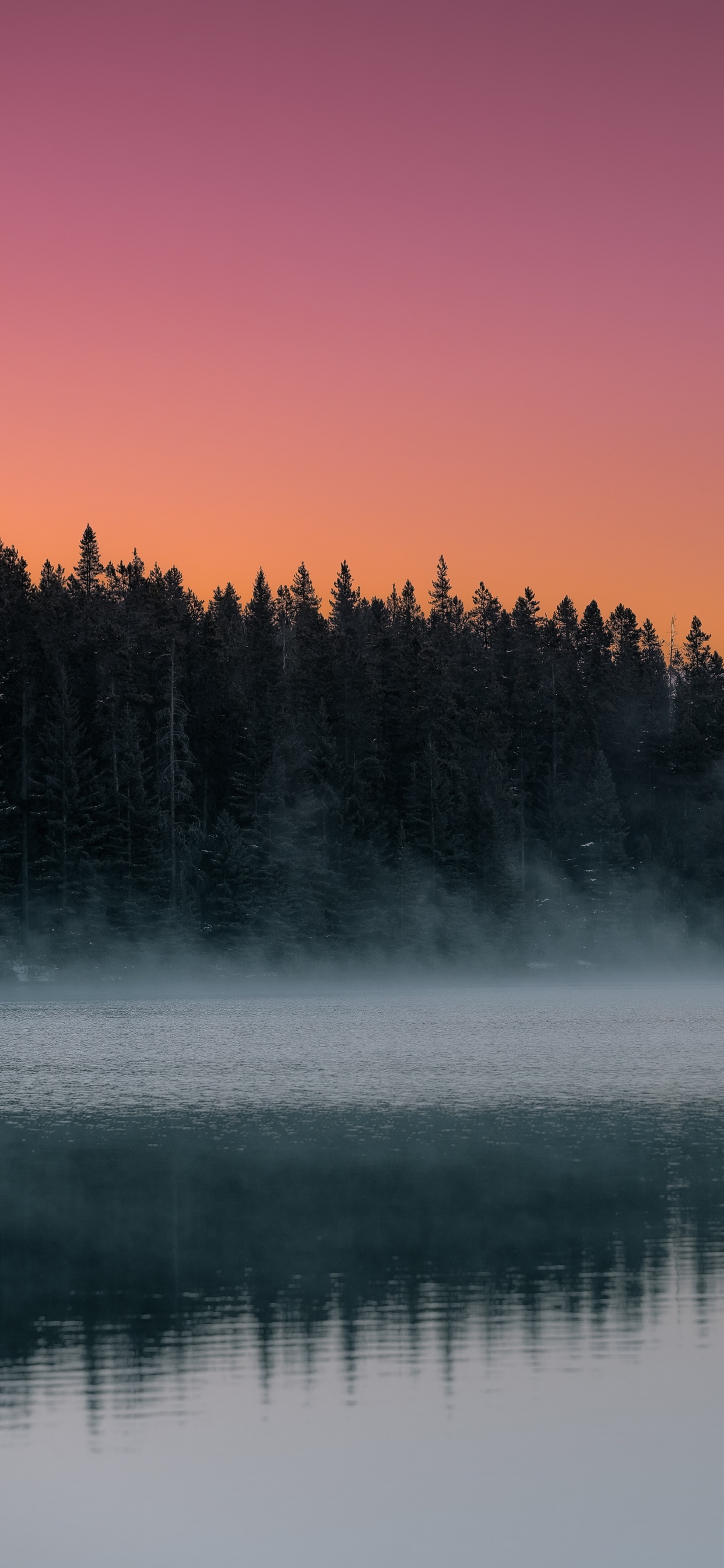 Обои утро, небо, дымка, туман, природа в разрешении 1242x2688