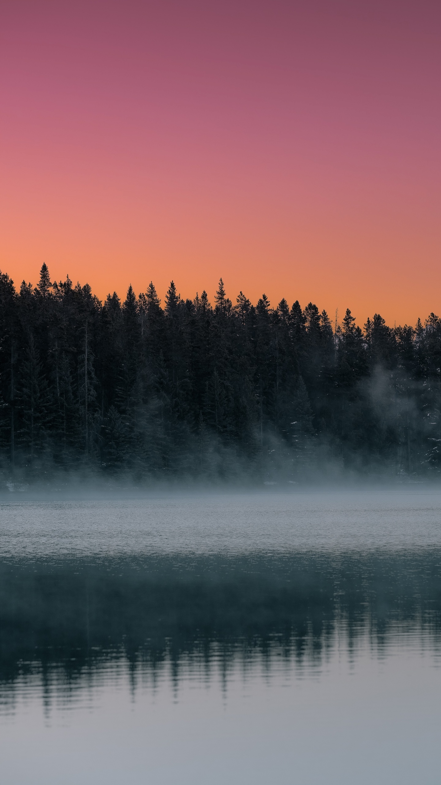 Обои утро, небо, дымка, туман, природа в разрешении 1440x2560