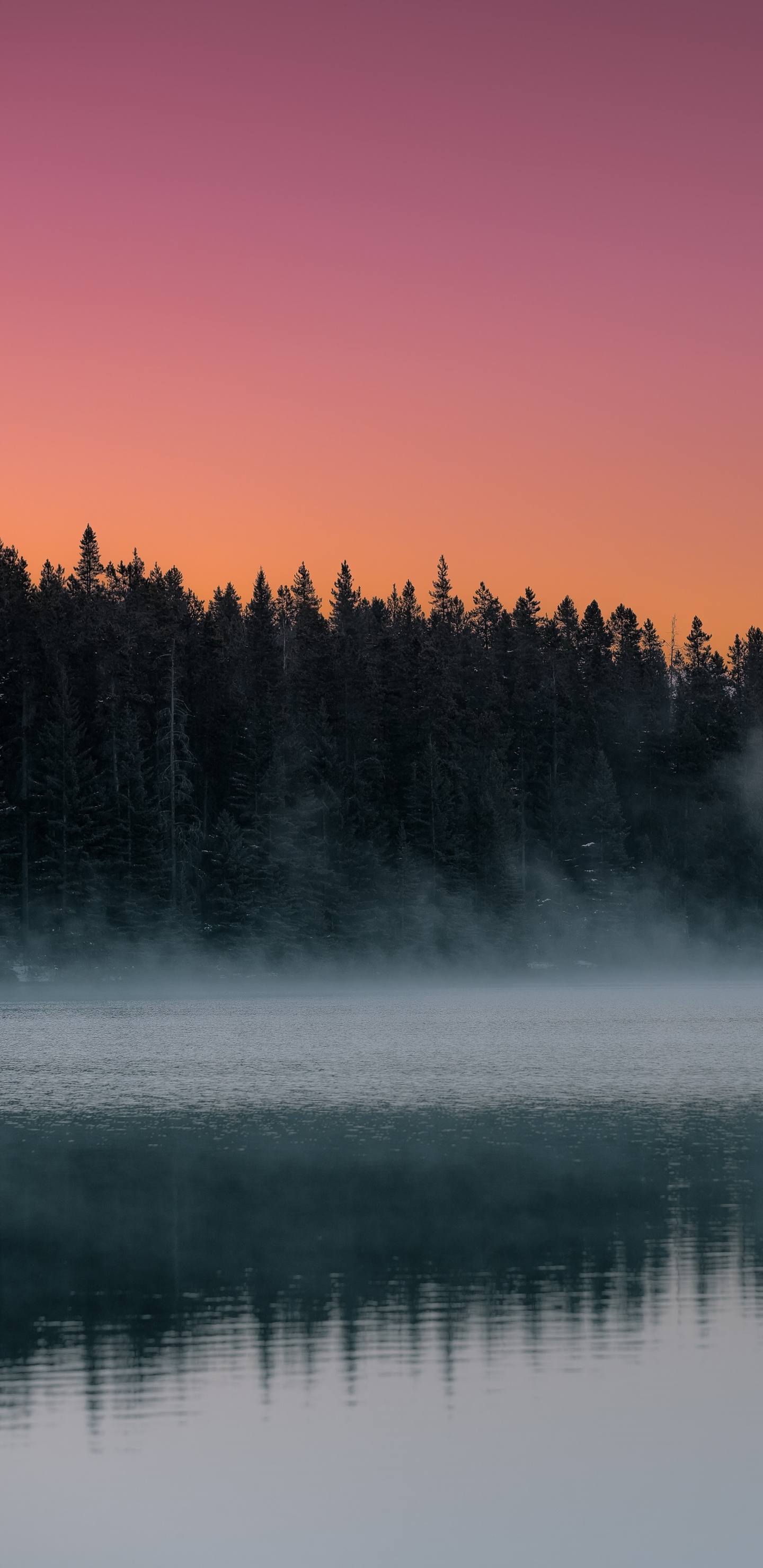 Обои утро, небо, дымка, туман, природа в разрешении 1440x2960