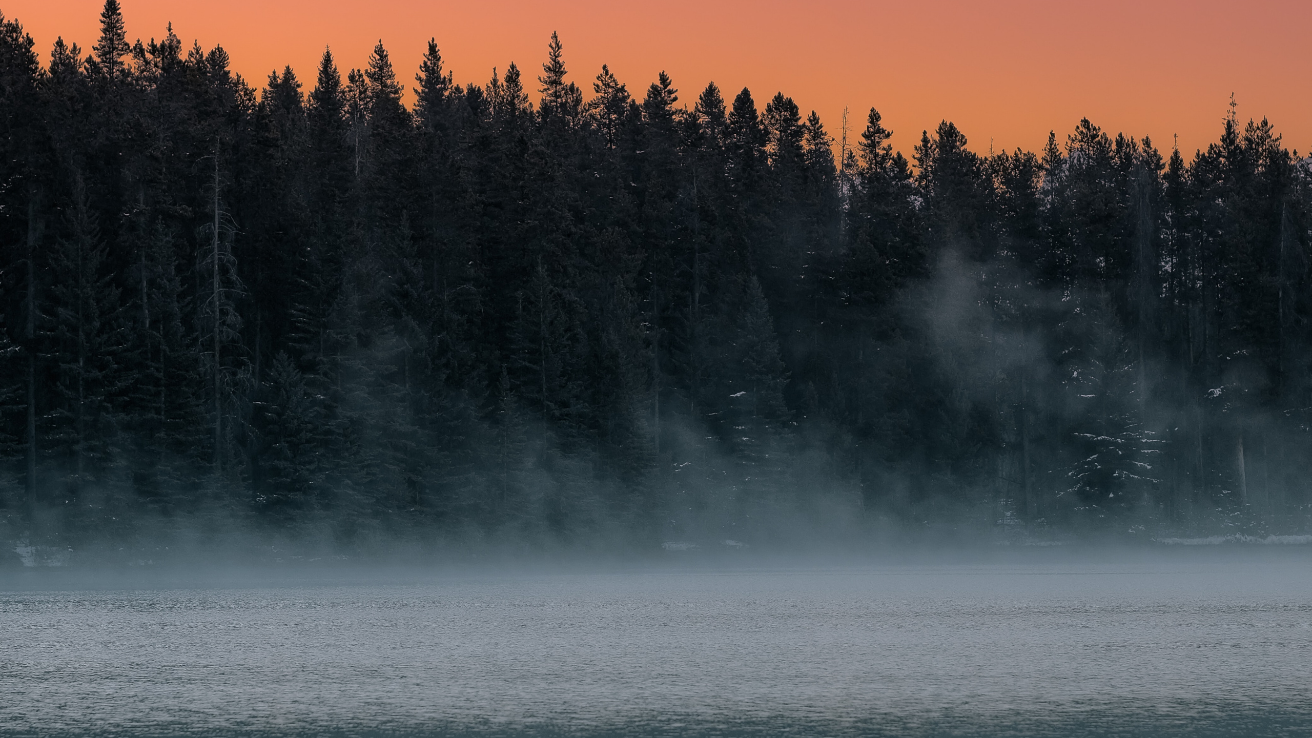 Обои утро, небо, дымка, туман, природа в разрешении 2560x1440