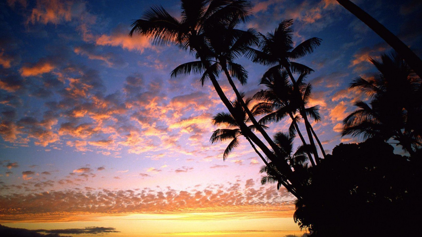 Обои гавайский пляж, закат, пляж, послесвечение, горизонт в разрешении 1366x768