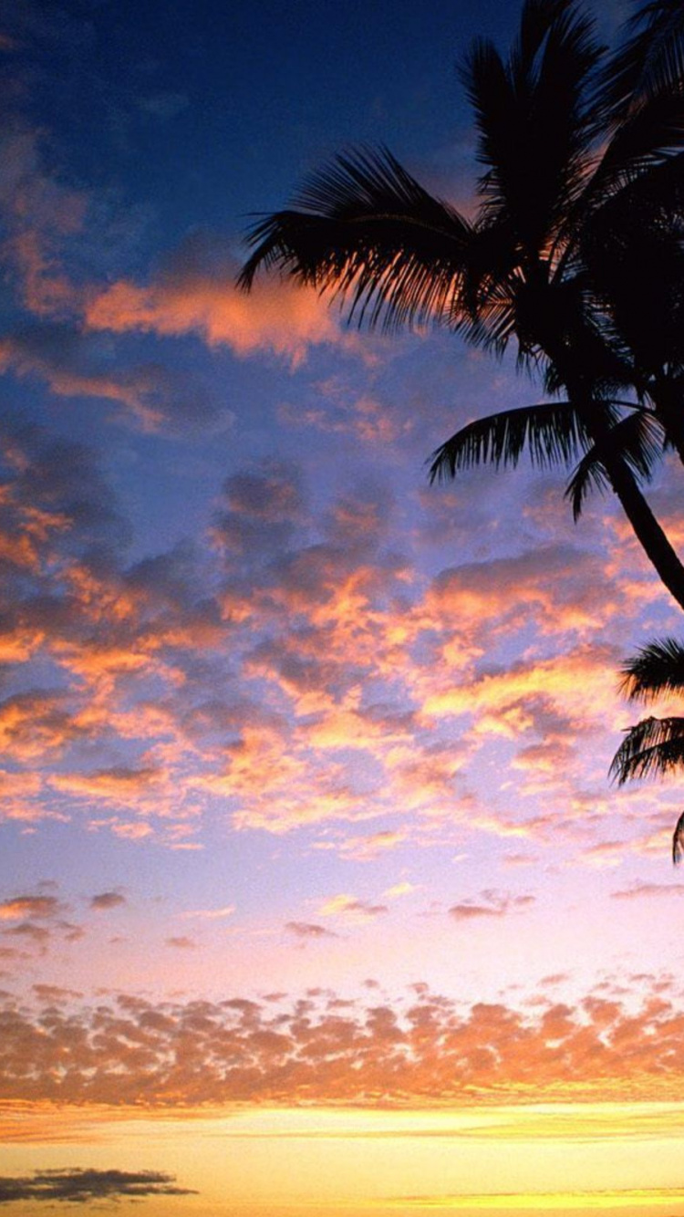 Обои гавайский пляж, закат, пляж, послесвечение, горизонт в разрешении 750x1334