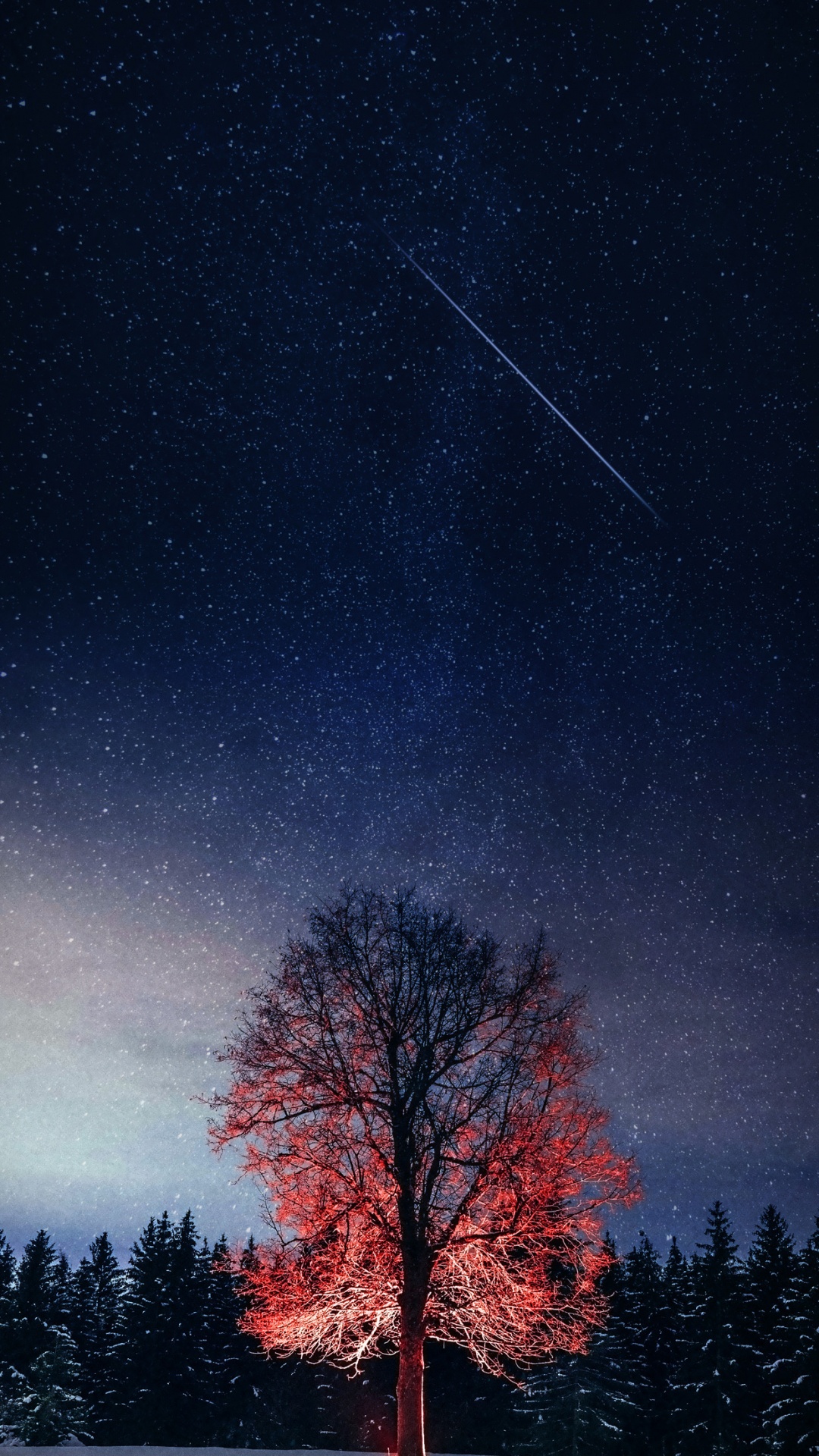 Обои атмосфера, природный ландшафт, окружающая среда, дерево, ветвь в разрешении 1080x1920