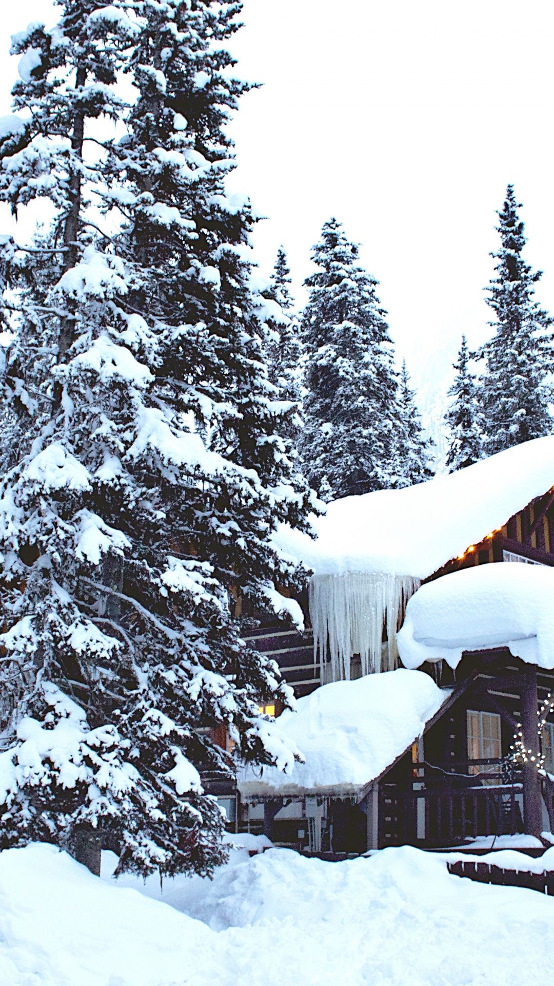 Обои ios, зима, снег, растение, дерево в разрешении 1080x1920