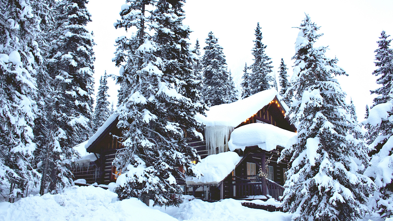 Обои ios, зима, снег, растение, дерево в разрешении 1280x720