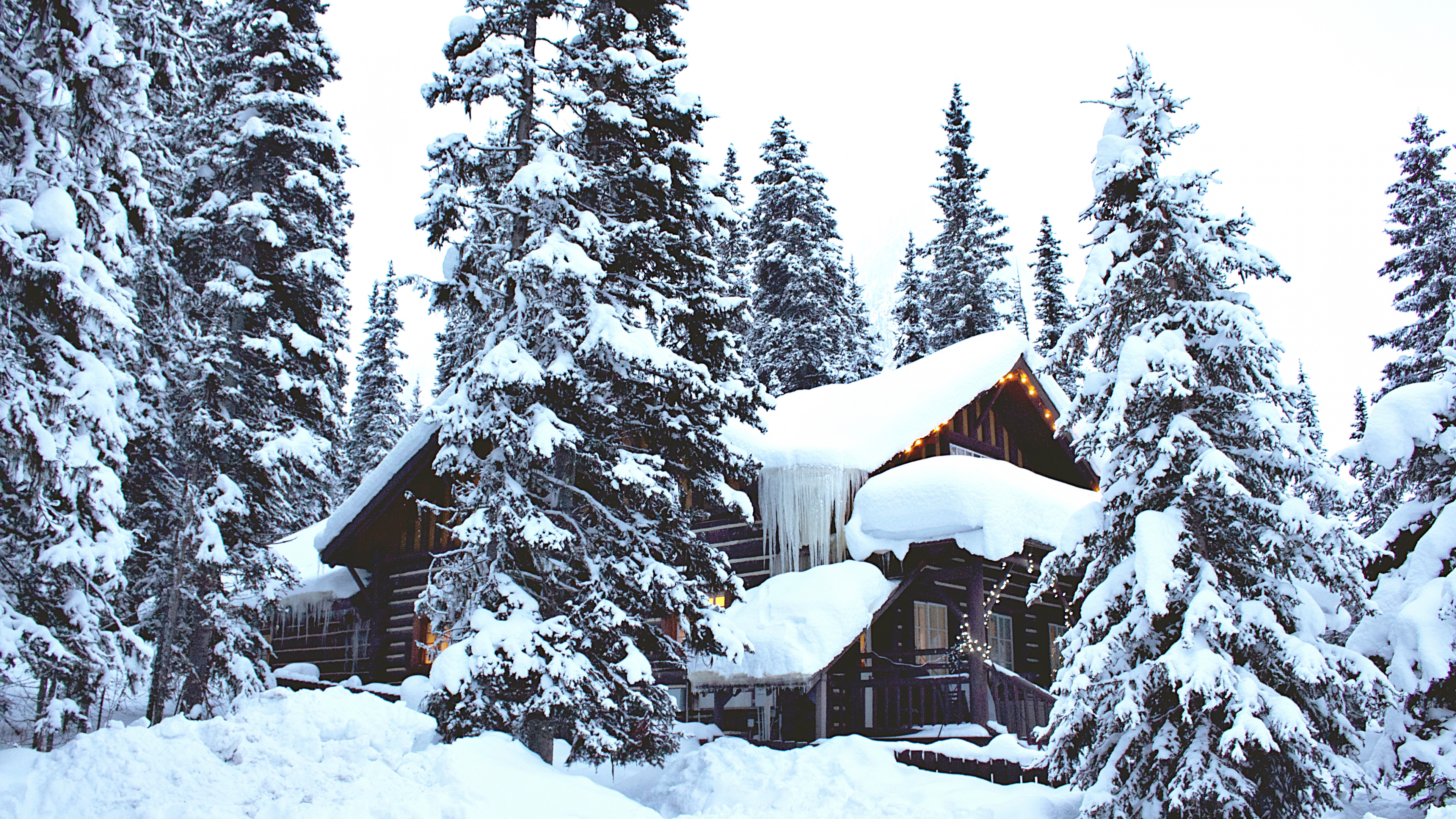 Обои ios, зима, снег, растение, дерево в разрешении 3840x2160