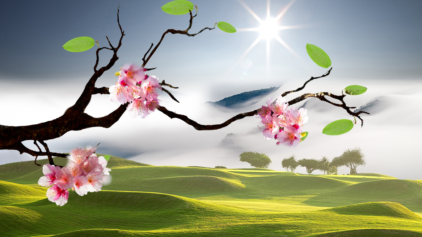 Обои пейзажная живопись, цветение вишни, пейзаж, цветок, природа в разрешении 1366x768
