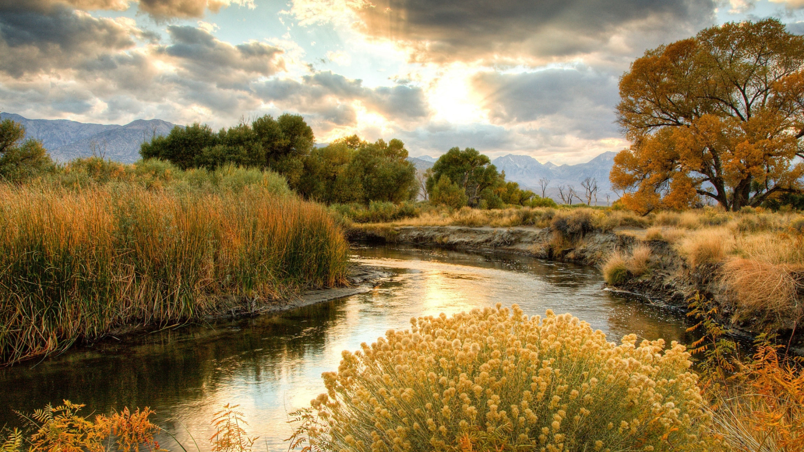 Обои реки, природа, природный ландшафт, окружающая среда, Банк в разрешении 2560x1440