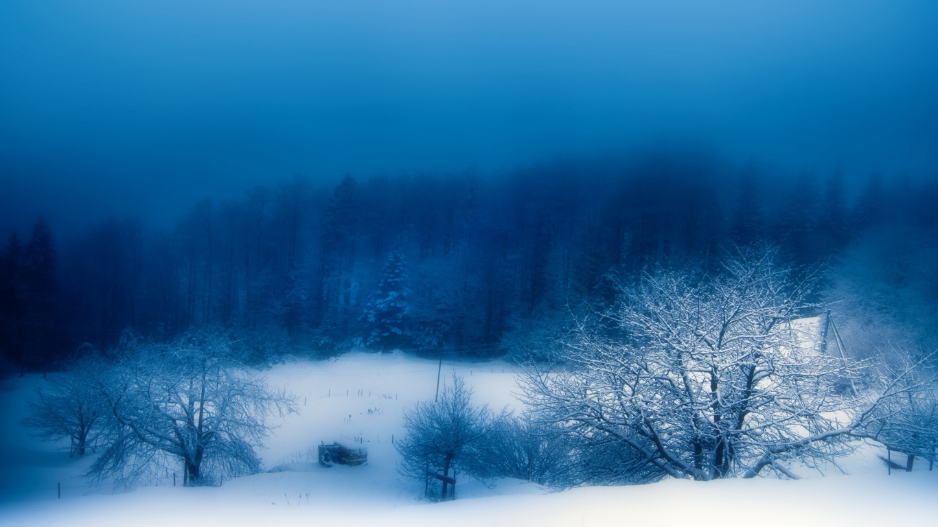 Обои снег, зима, синий, природа, замораживание в разрешении 1366x768