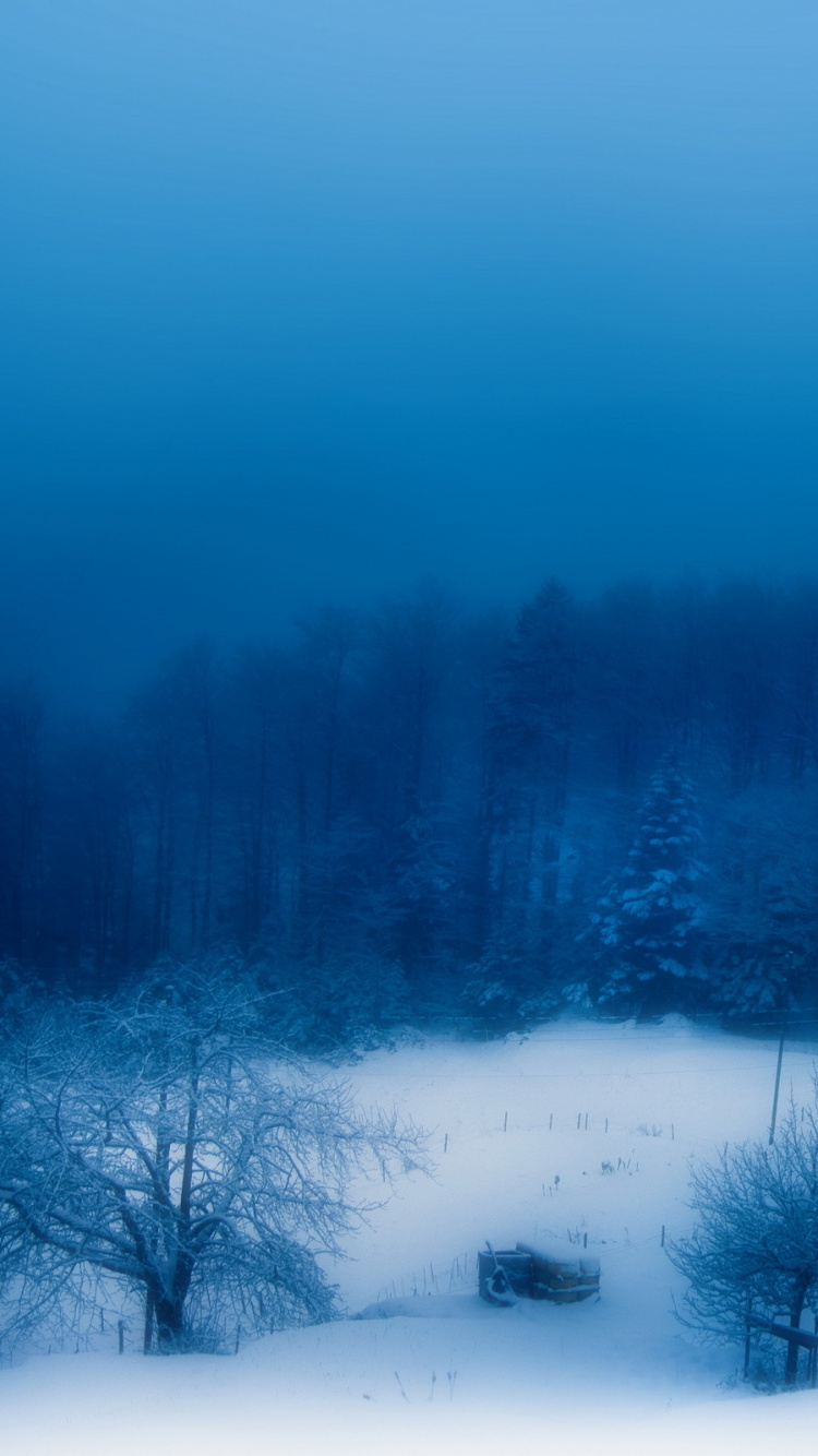 Обои снег, зима, синий, природа, замораживание в разрешении 750x1334