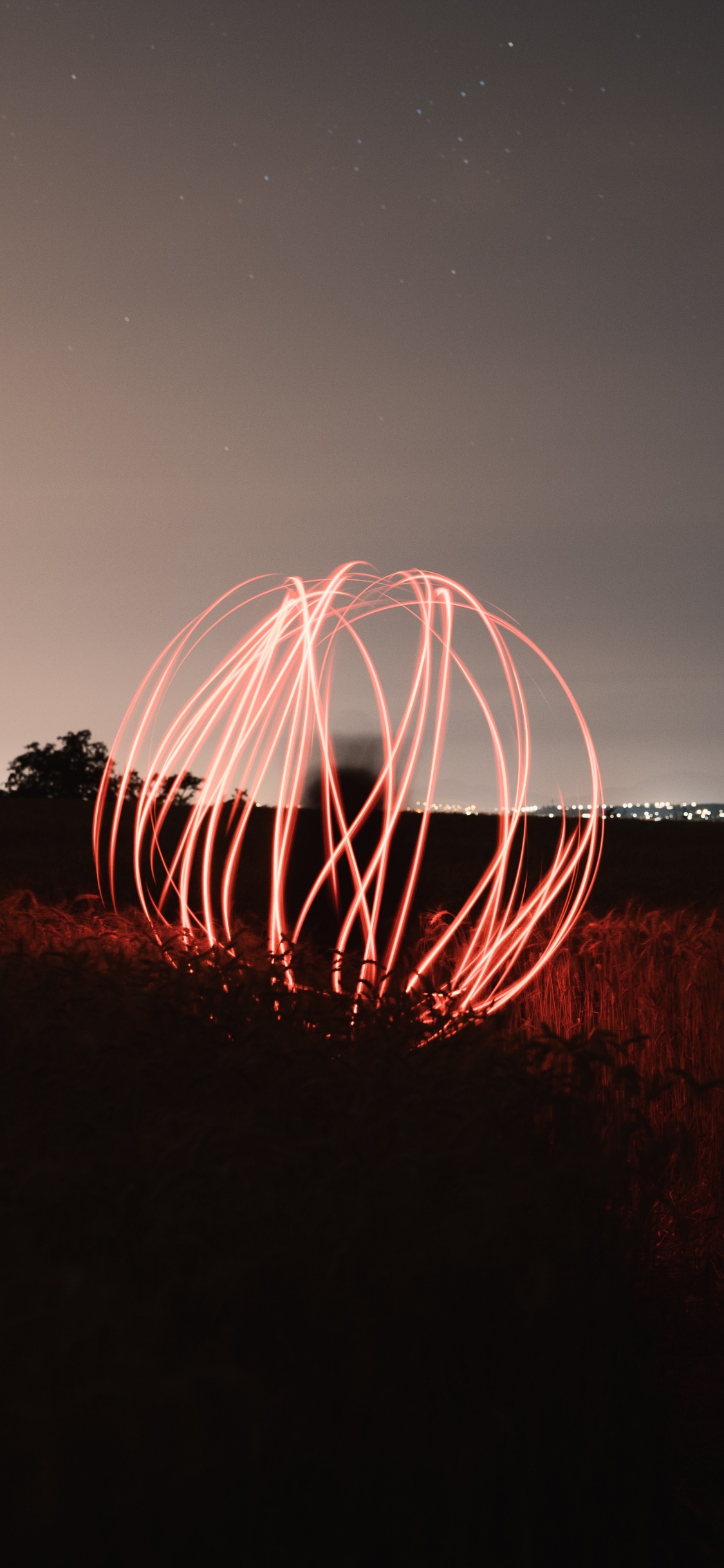 Обои ночь, свет, темнота, вода, дерево в разрешении 1125x2436