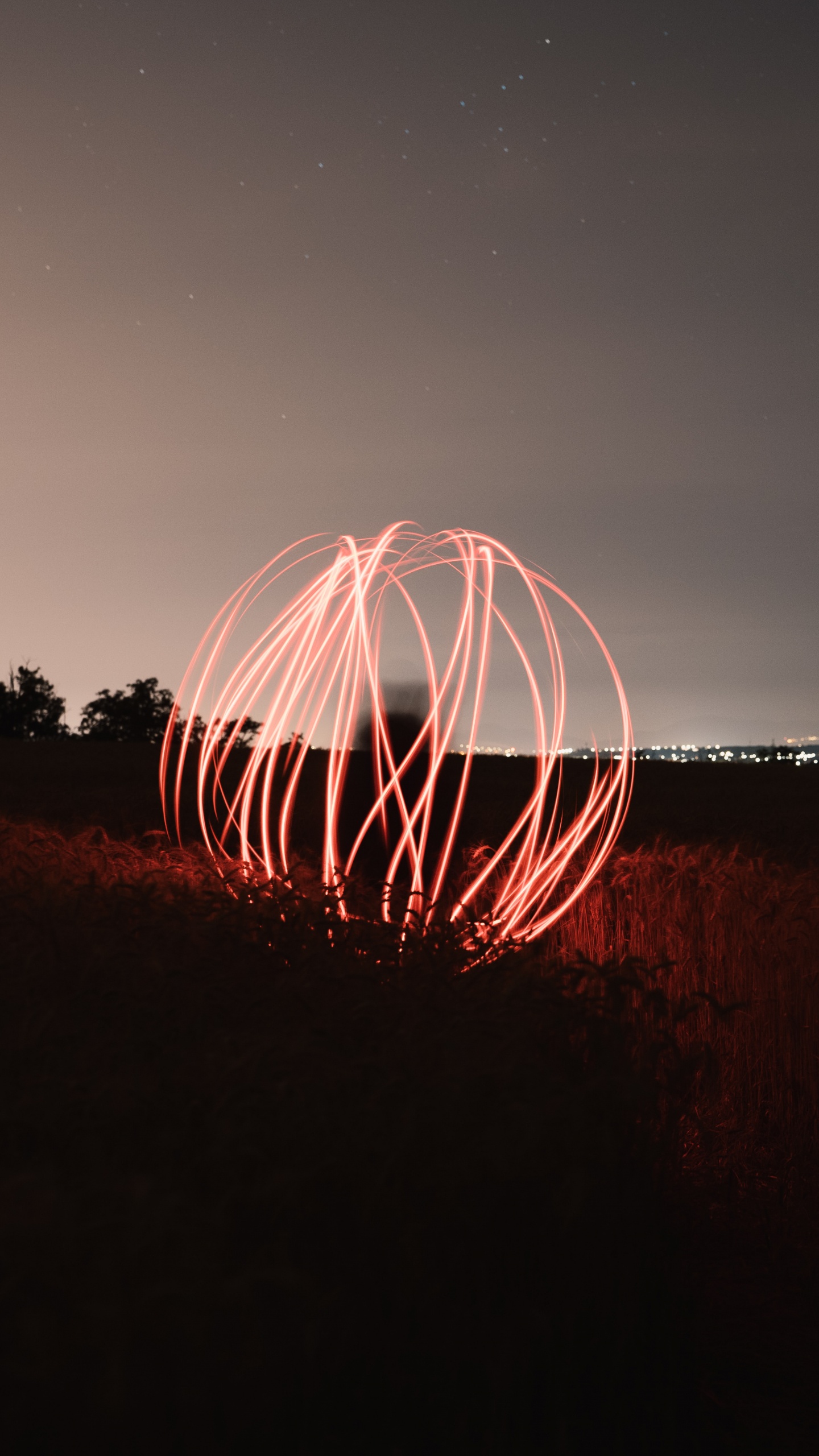 Обои ночь, свет, темнота, вода, дерево в разрешении 1440x2560