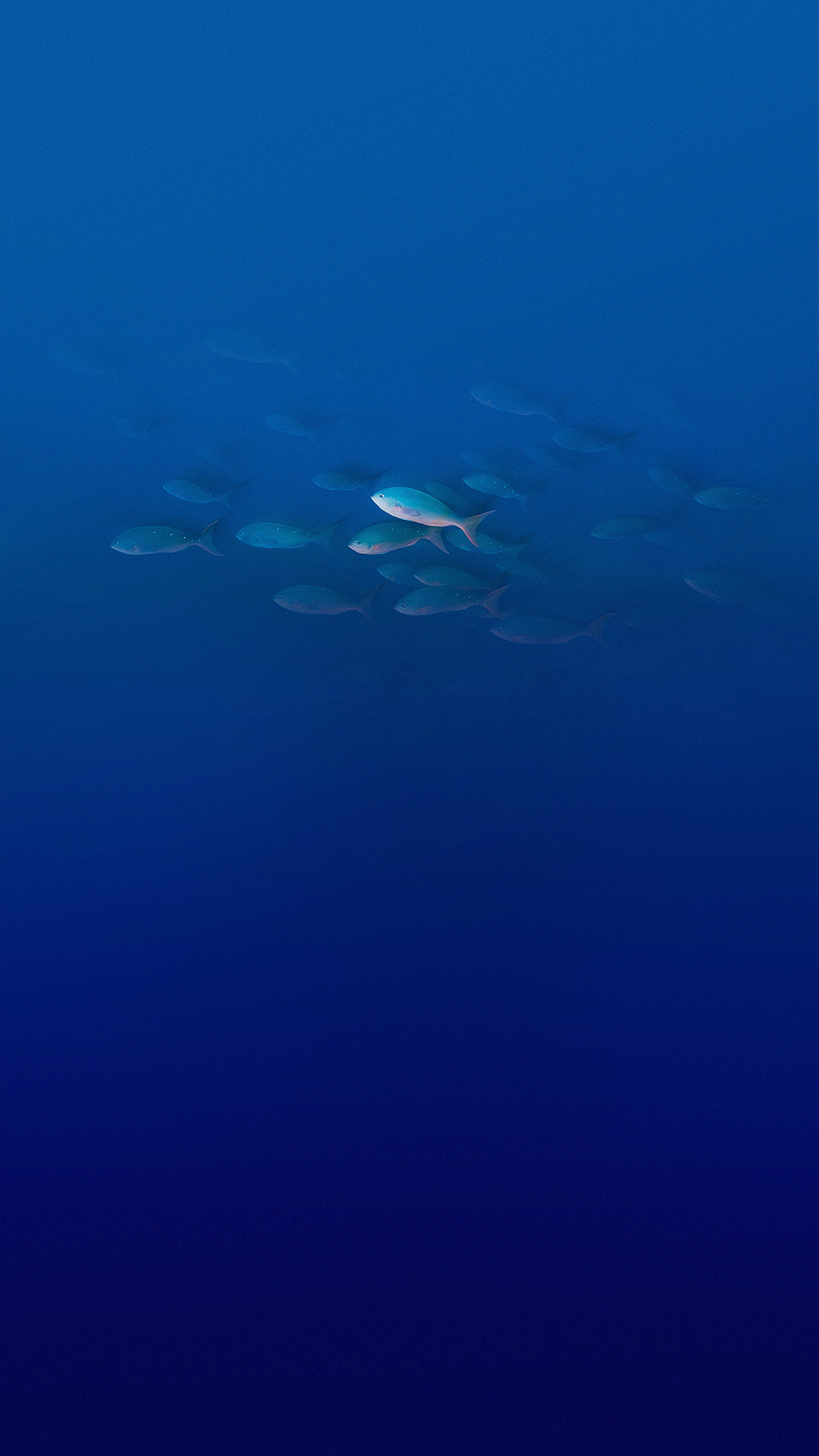 Обои Elephone, Elephone P9000, вода, риф Дедала, водоем в разрешении 1080x1920