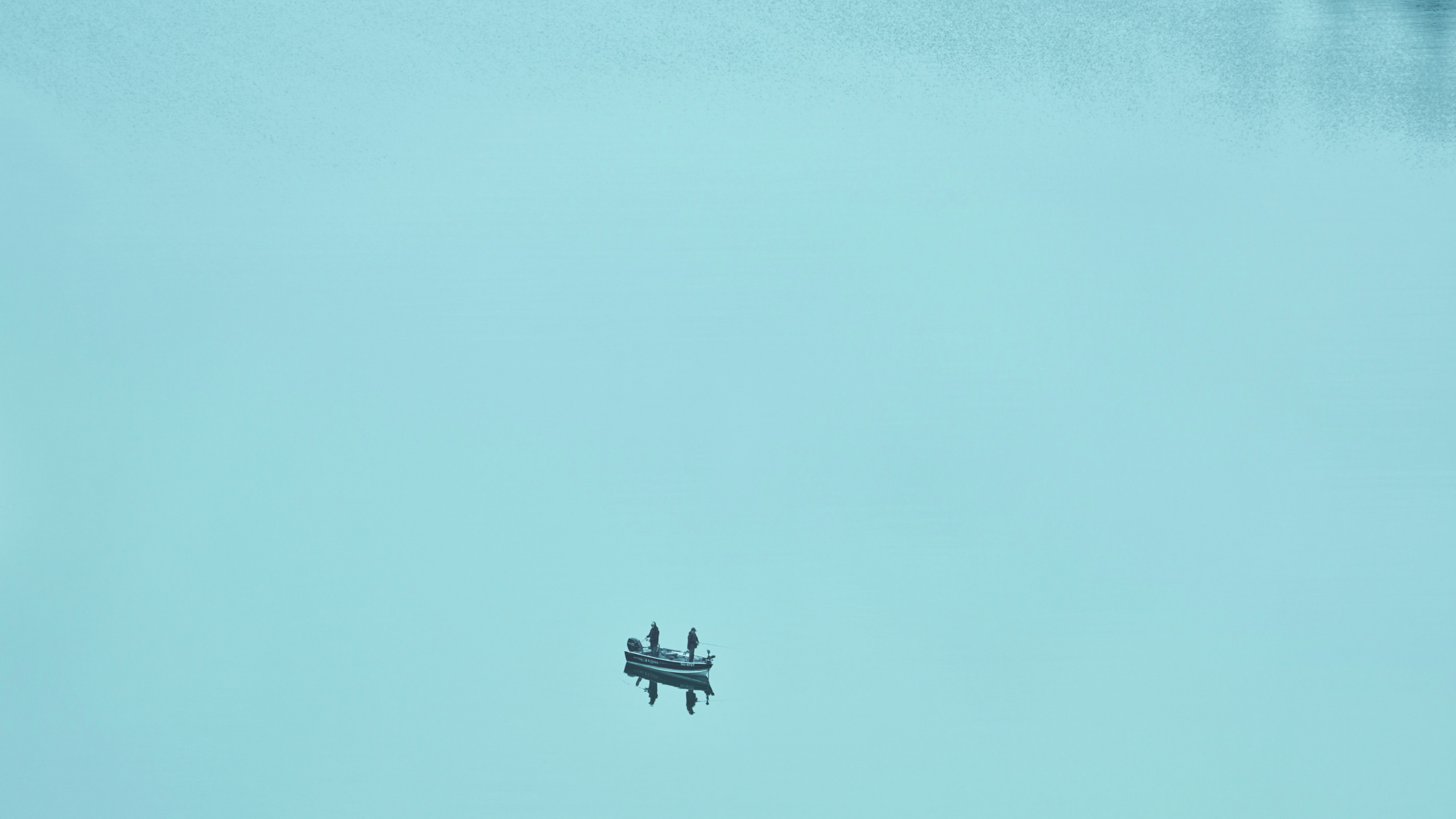 Обои синий, зеленый, бирюза, Аква, лазурный в разрешении 2560x1440