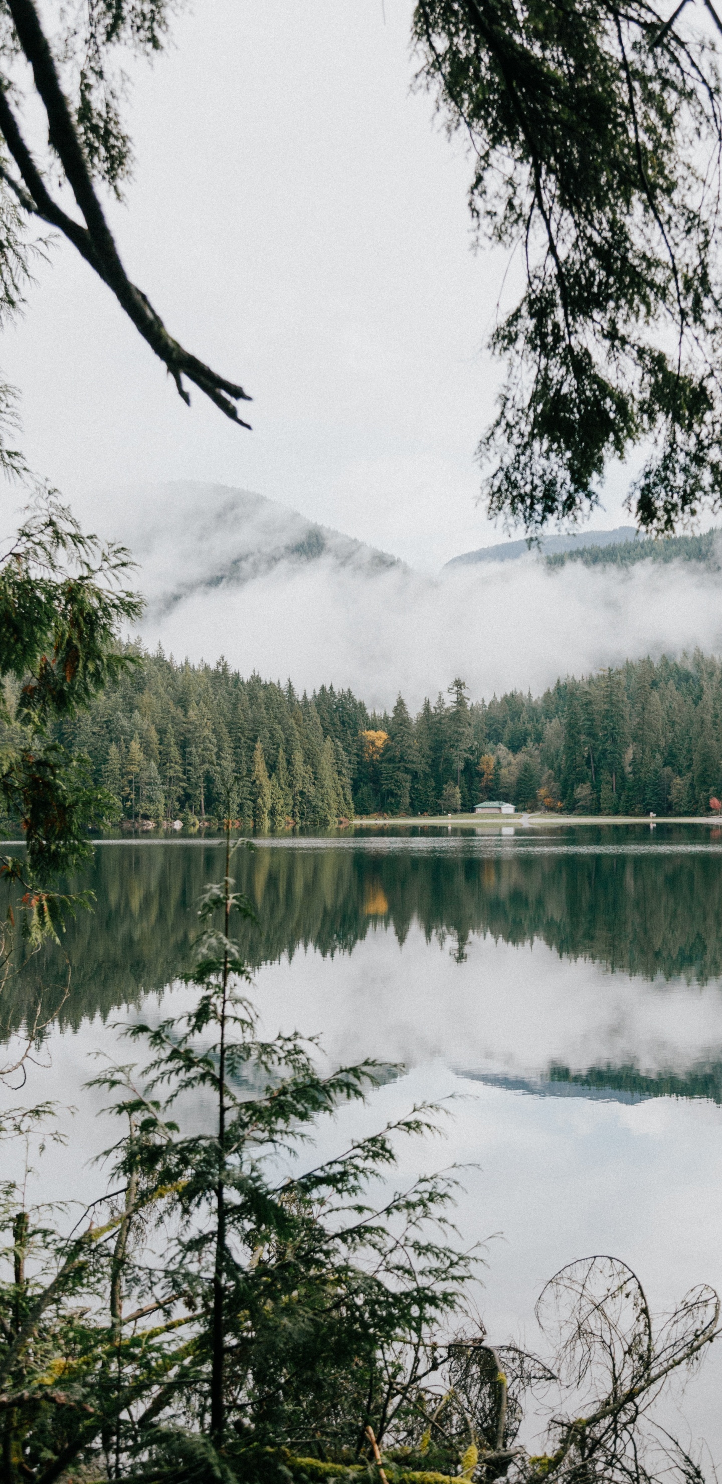 Обои природный заповедник, Озеро Sasamat, растительность, окружающая среда, водоем в разрешении 1440x2960