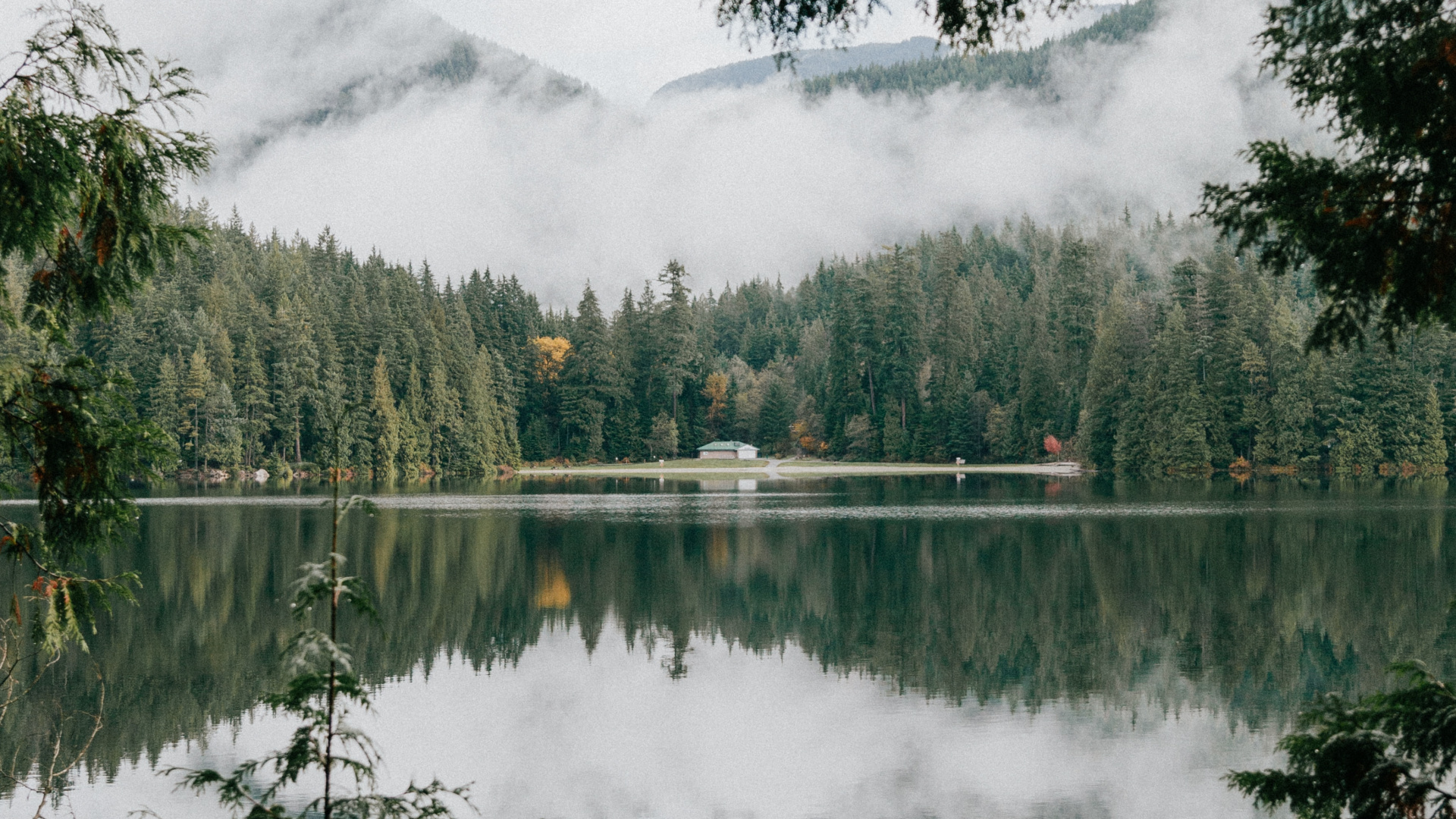 Обои природный заповедник, Озеро Sasamat, растительность, окружающая среда, водоем в разрешении 1920x1080