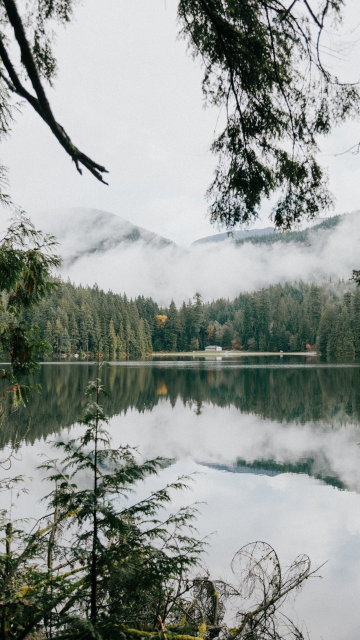 Обои природный заповедник, Озеро Sasamat, растительность, окружающая среда, водоем в разрешении 720x1280