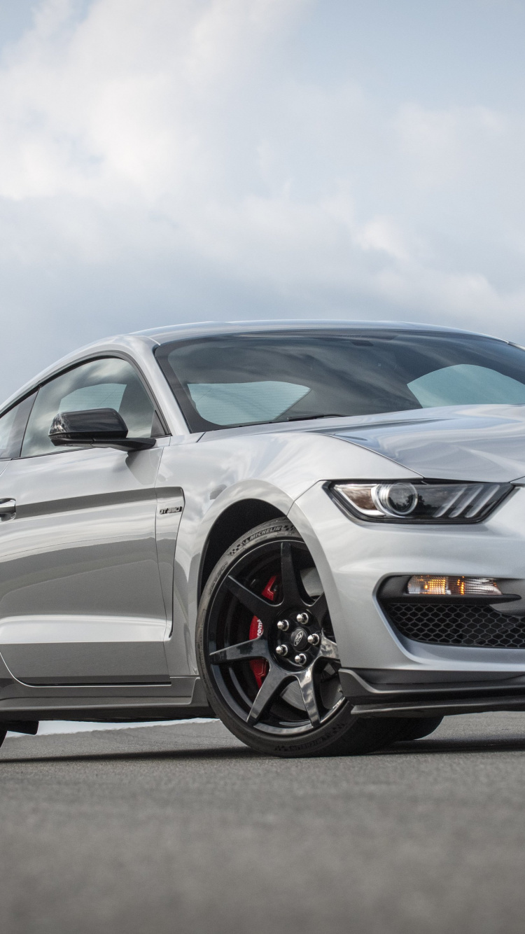 Обои 2020 mustang gt350r, 2020 Форд Мустанг, Шелби Мустанг, компания Ford, легковые автомобили в разрешении 750x1334