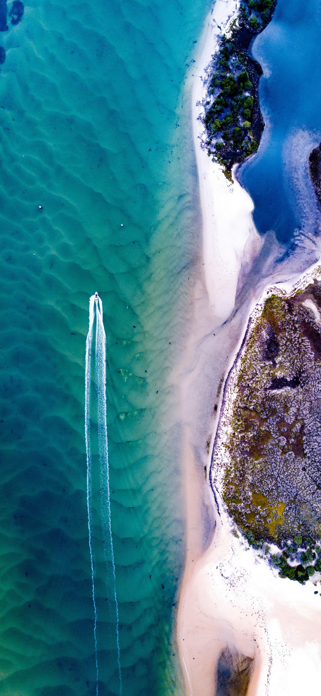 Обои вода, морская биология, море, наука, гидроресурсы в разрешении 1125x2436