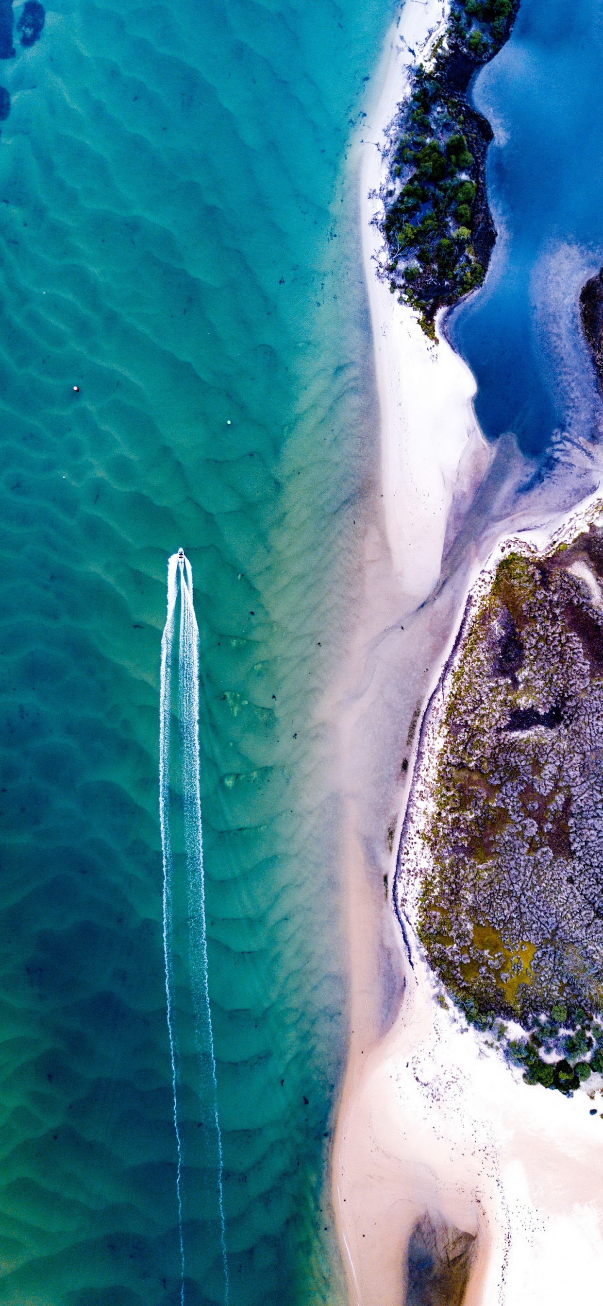 Обои вода, морская биология, море, наука, гидроресурсы в разрешении 1242x2688