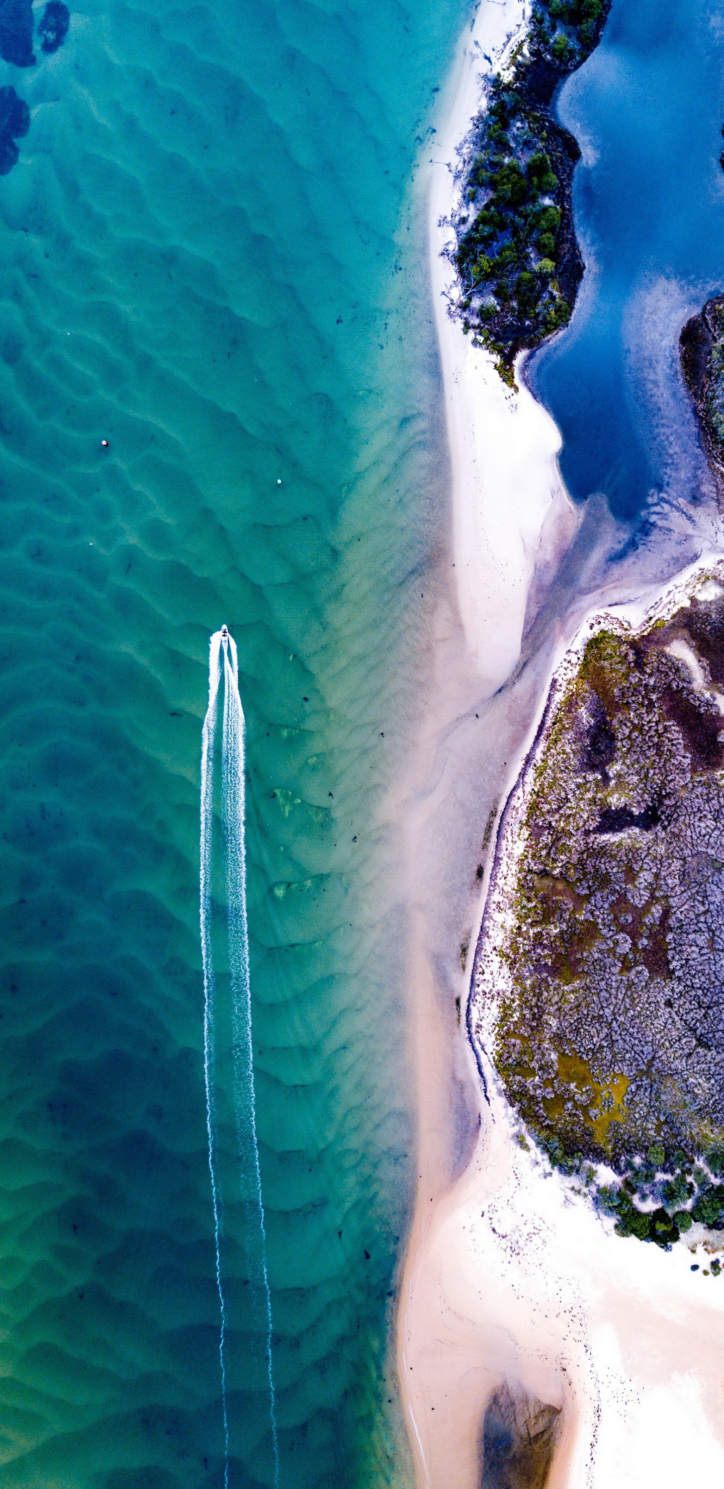 Обои вода, морская биология, море, наука, гидроресурсы в разрешении 1440x2960
