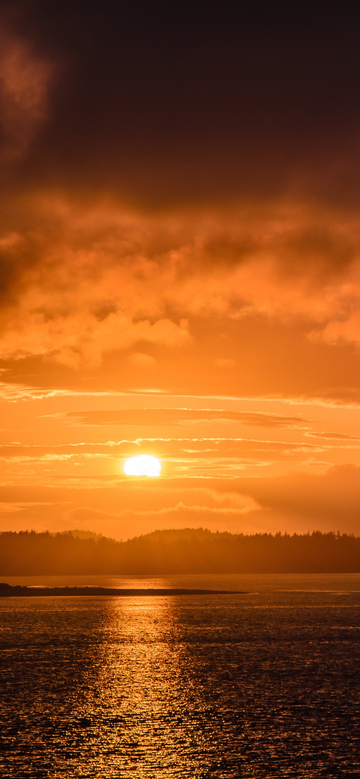 Обои закат, послесвечение, горизонт, облако, восход солнца в разрешении 1242x2688